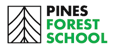 Pines Forest school