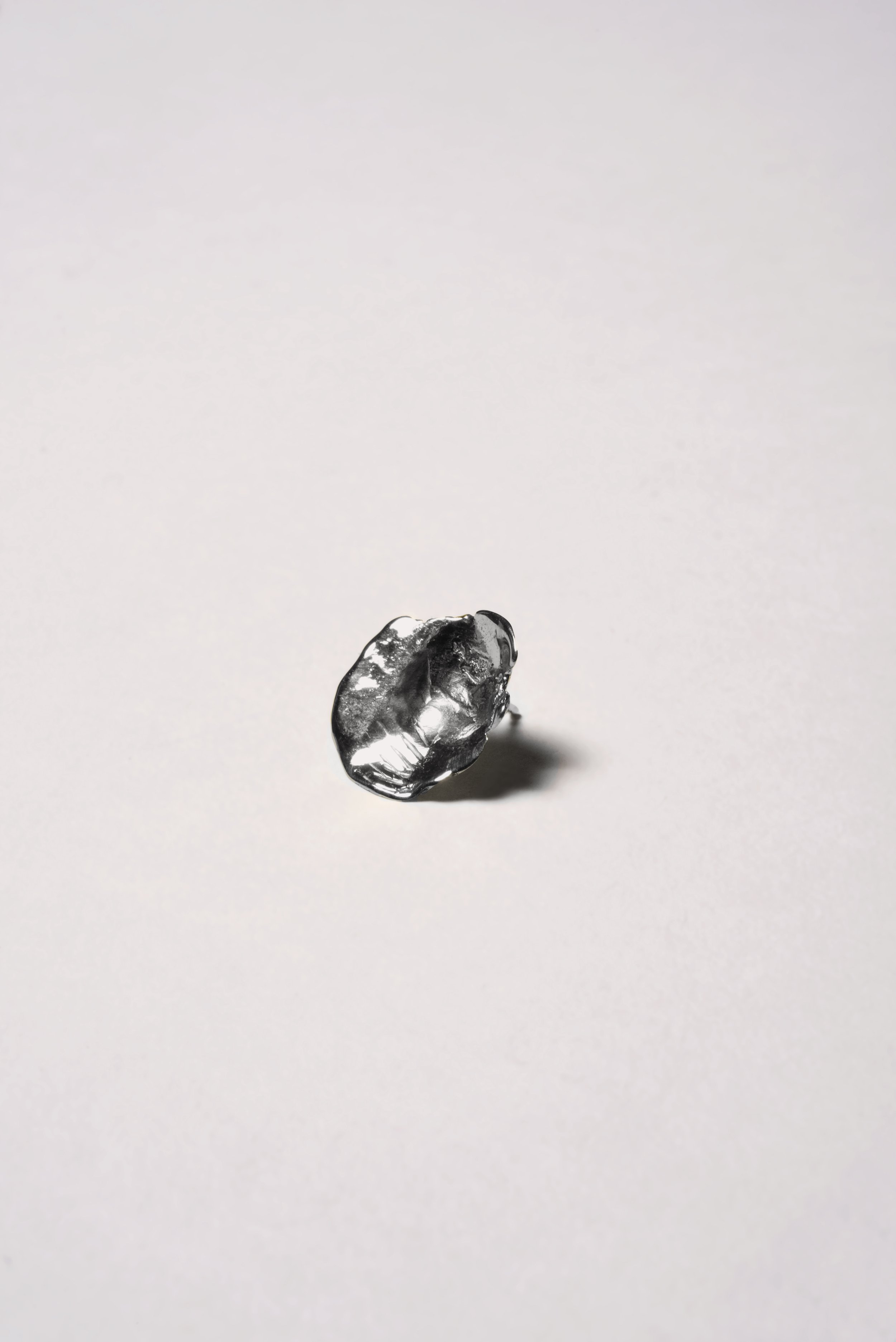 _DSC5704_modificataSilver.jpg