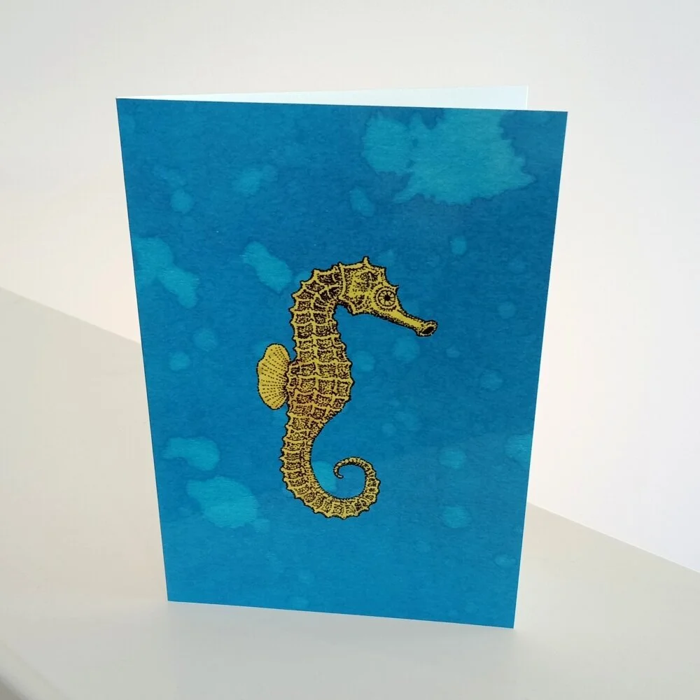  Seahorse greeting card 