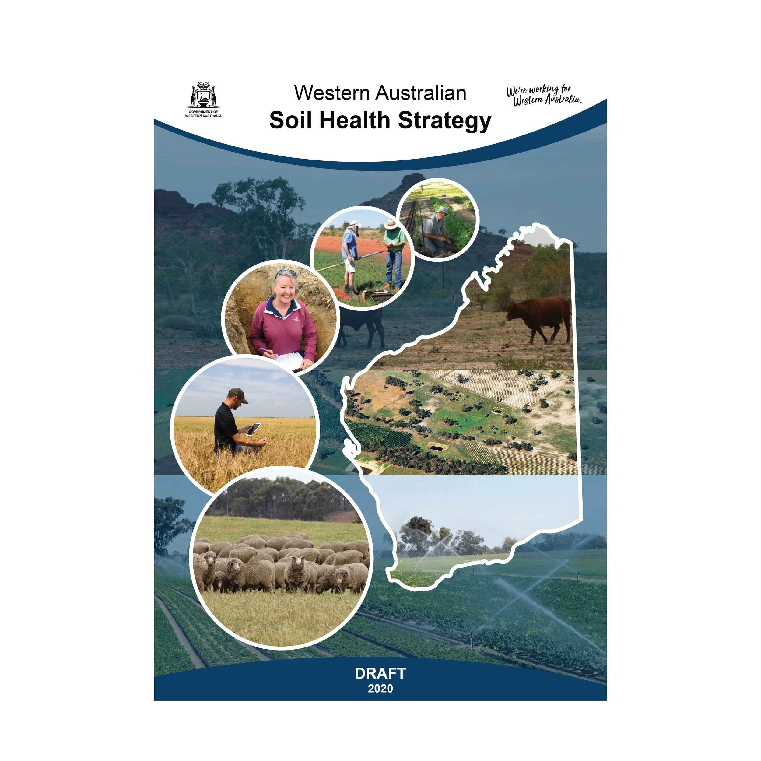 Soil Health Strategy_cover_website-01.jpg