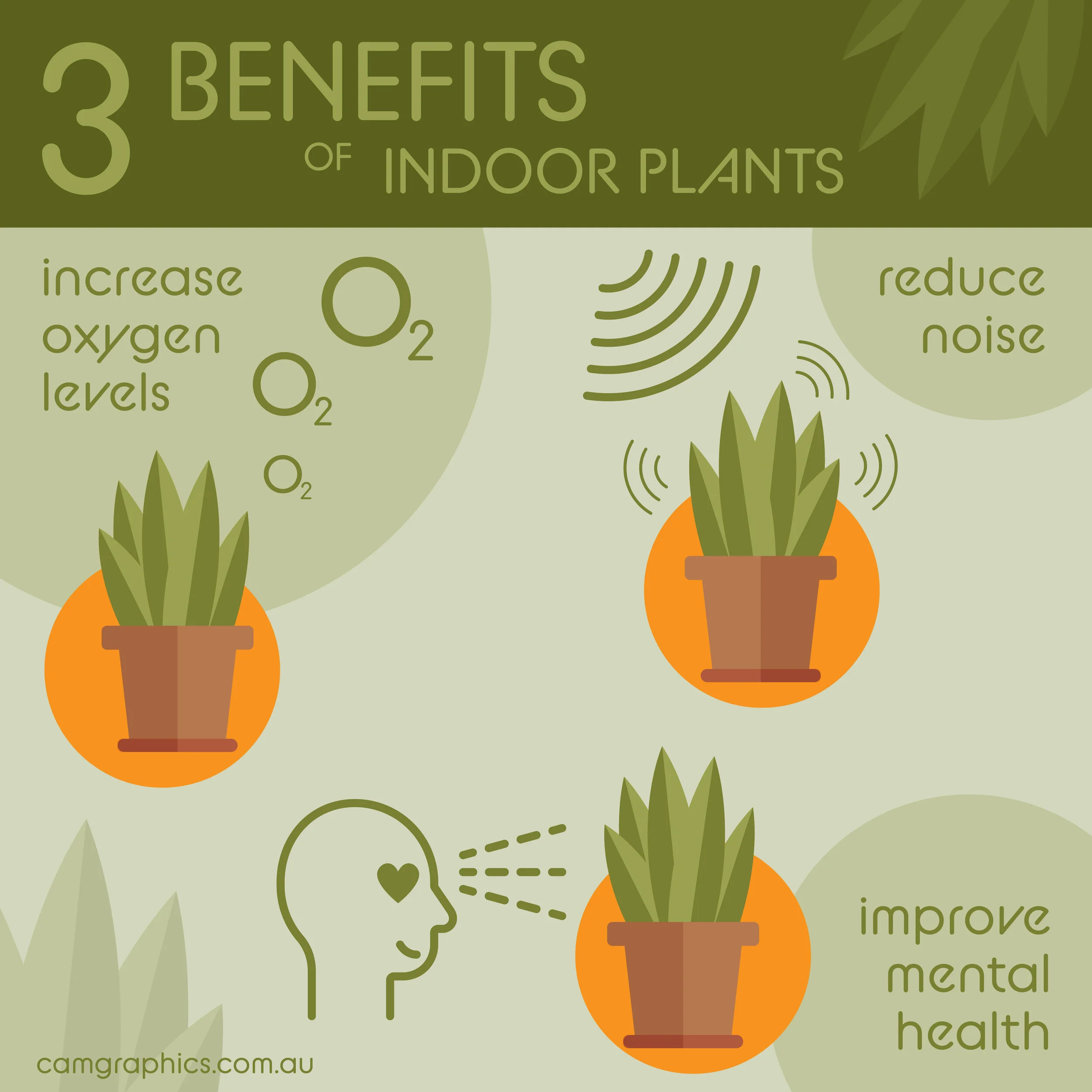  This infographic lists three benefits of indoor plants 