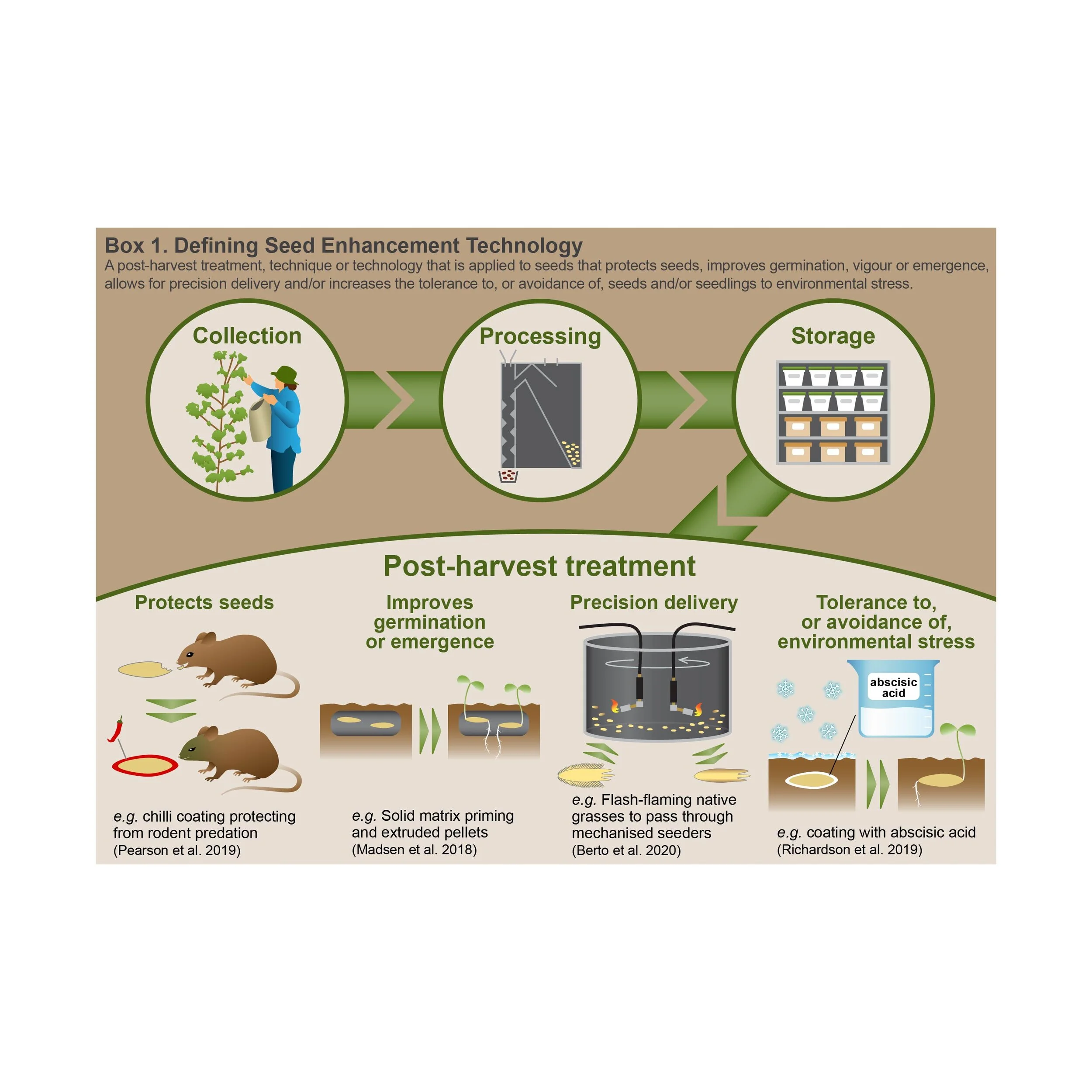  Seed Enhancement Technology diagram, designed for Vanessa Brown, et al. (2021) 