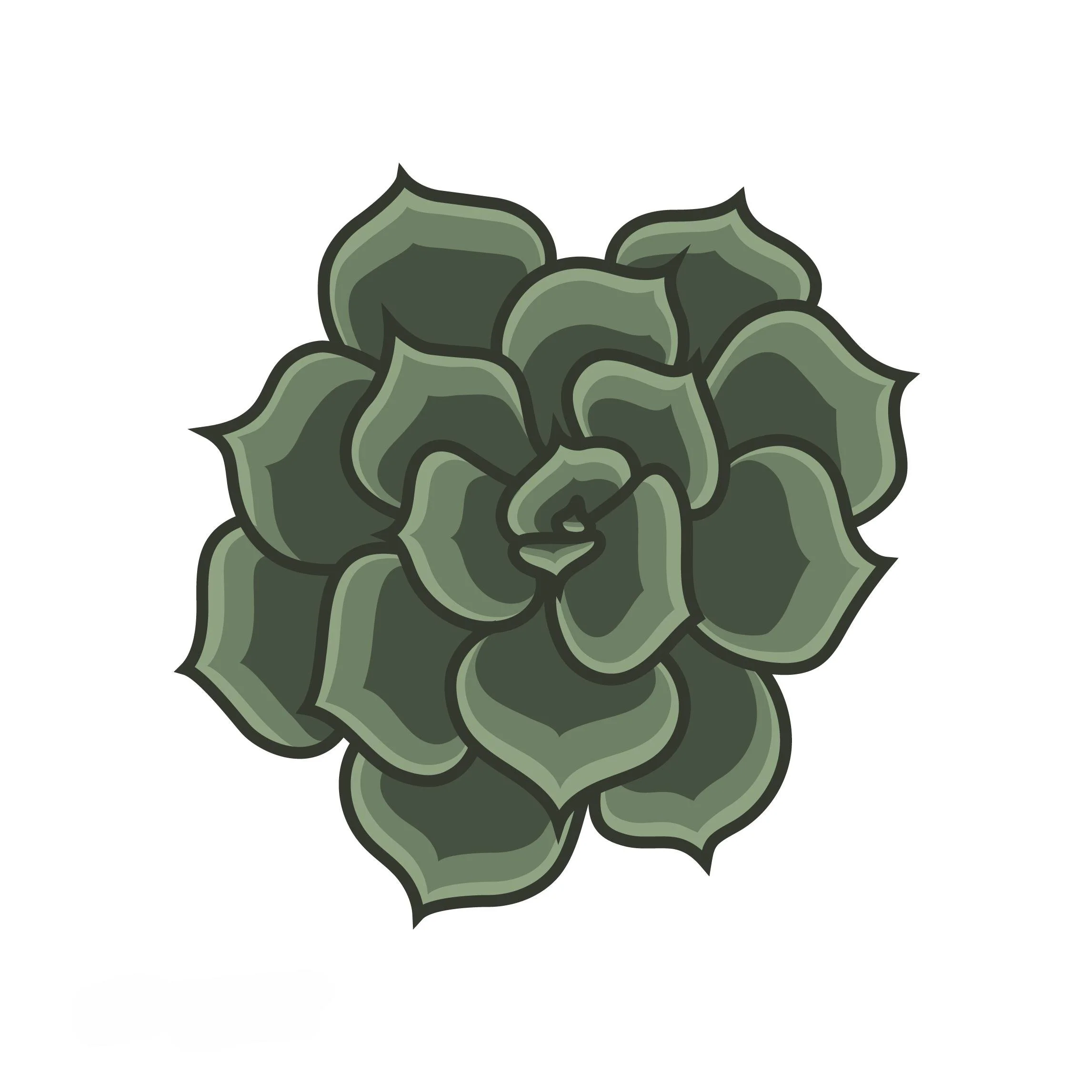 rosette-07.jpg