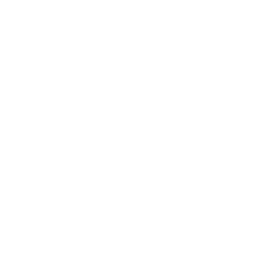 Silviu Sotelecan ✦ Head of Design @Sweat