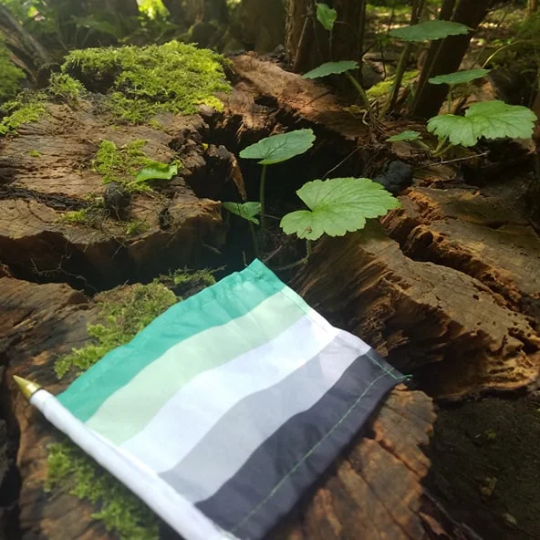 An small aromantic pride flag lying on wood and moss