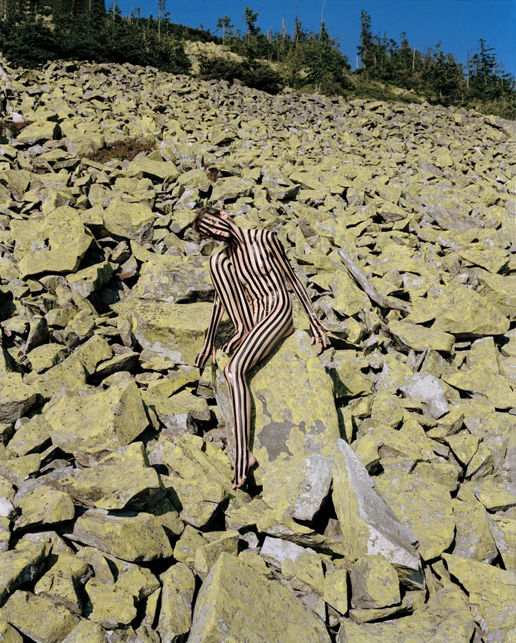 Світлина: Synchrodogs