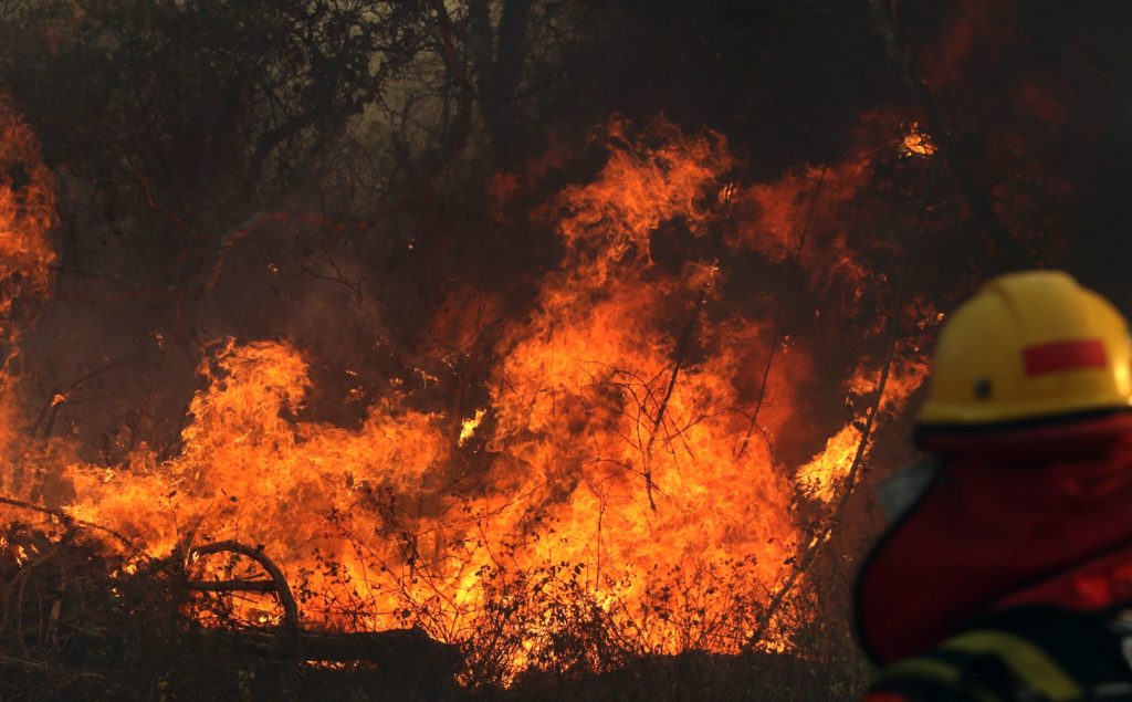 Світлина: Getty Images