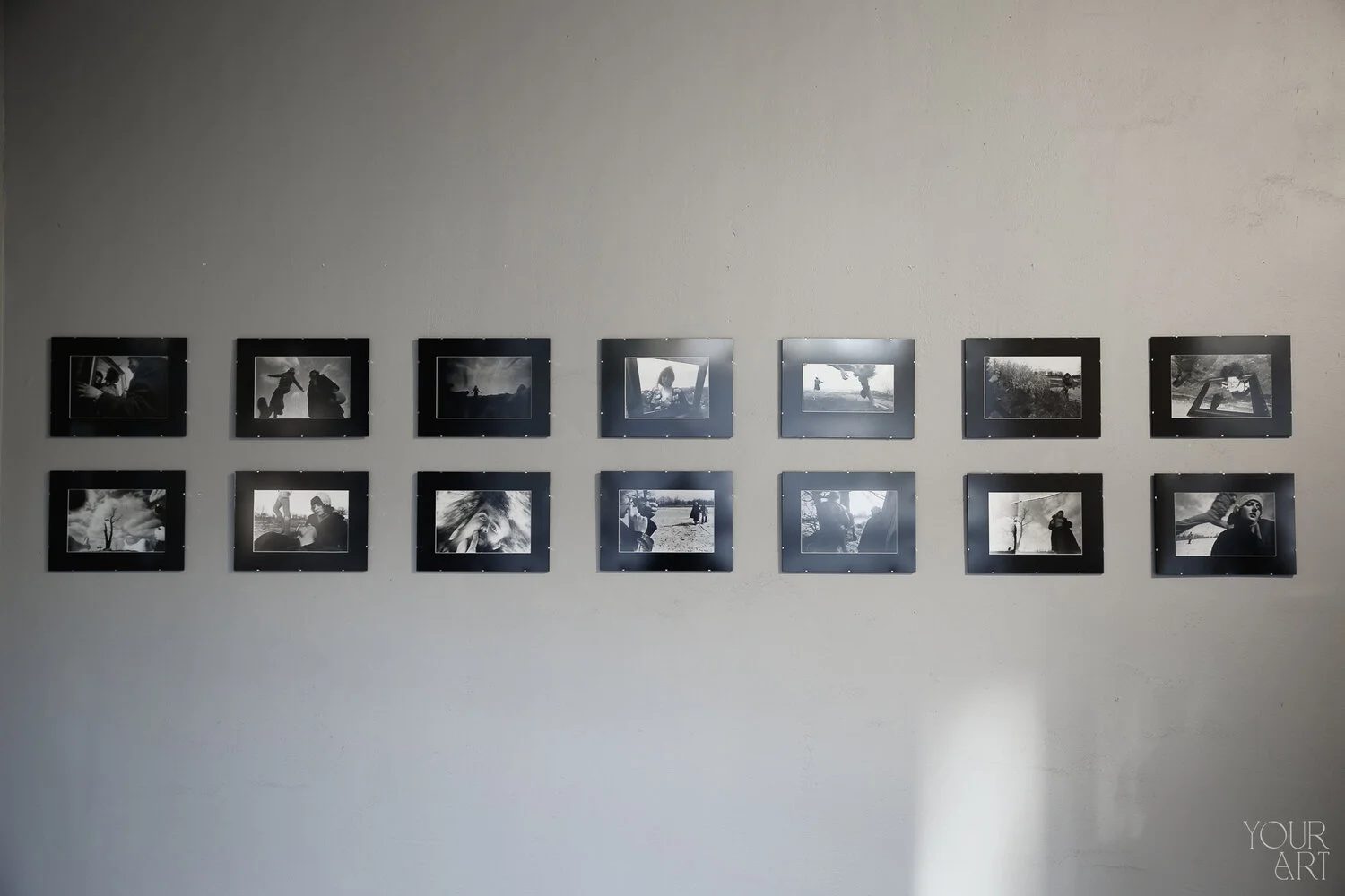 481A2953-2 copy.jpg
