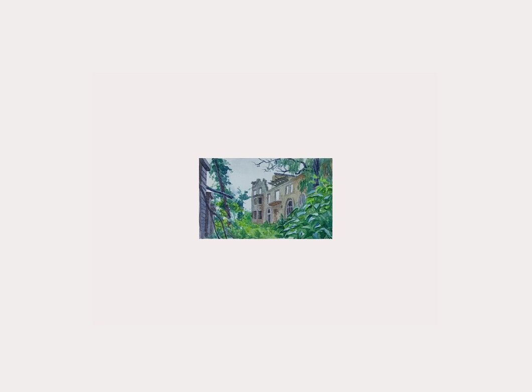 Анна Щербина, Семенівка, 2016. «Психіатрична лікарня», 2017