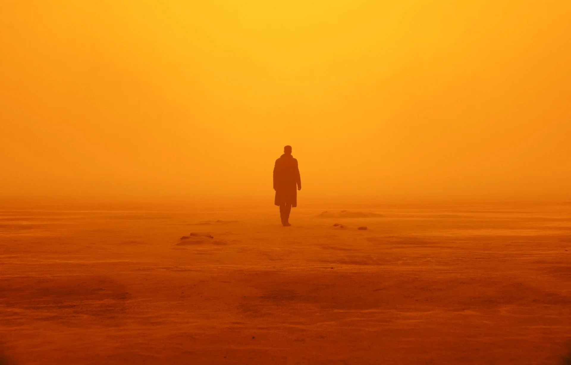 Кадр з фільму «Той, хто біжить по лезу» (2017)