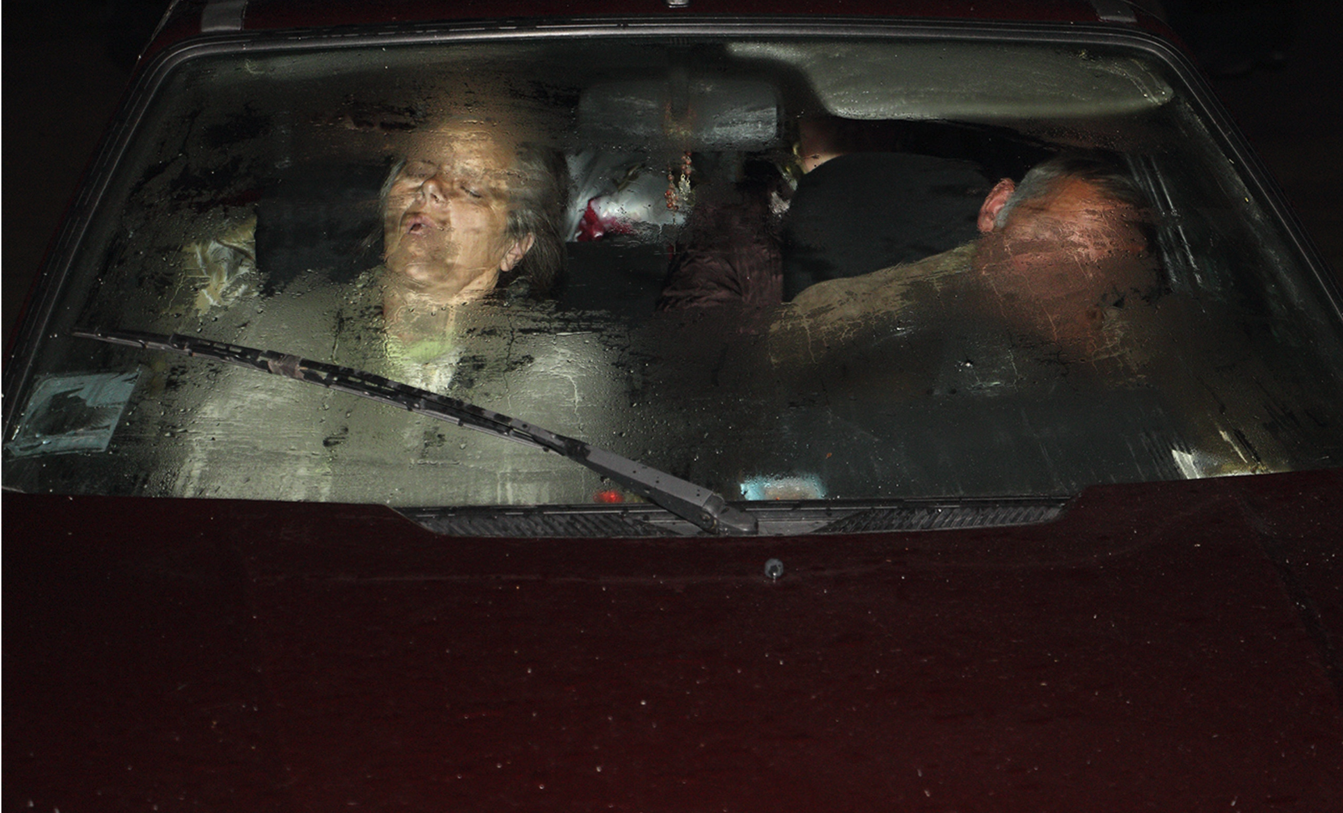 Олена Субач «Армагедон — метеорит Бердичів насувається» (2017)