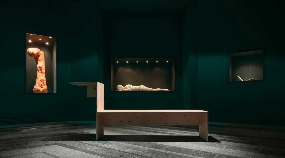 Катерина Бучацька, «Рекорд болю» (2019)