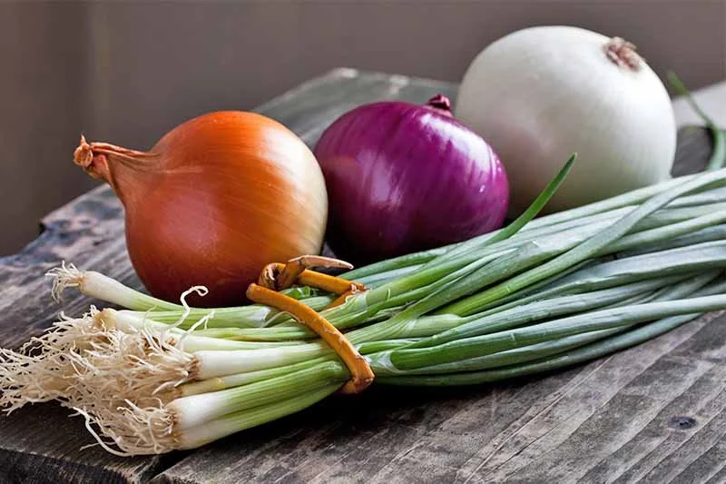 Onions, Leeks & Garlic — Hoole Food Market Chester Food & Flowers Delivery Service