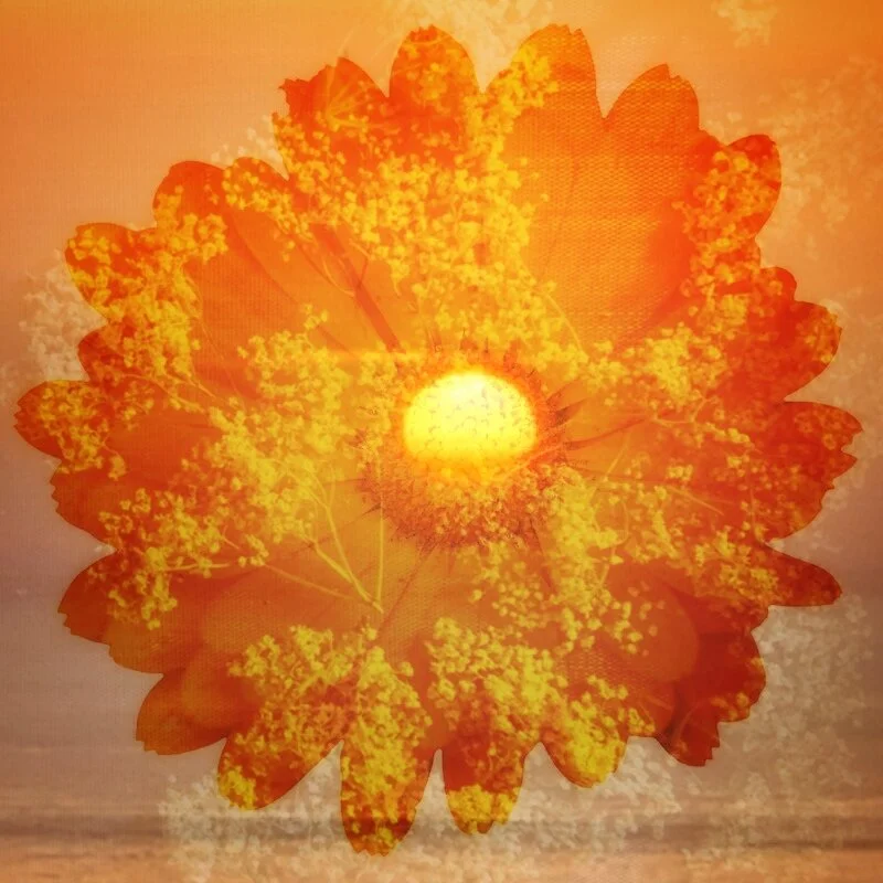 Summer Solstice Tea Blend