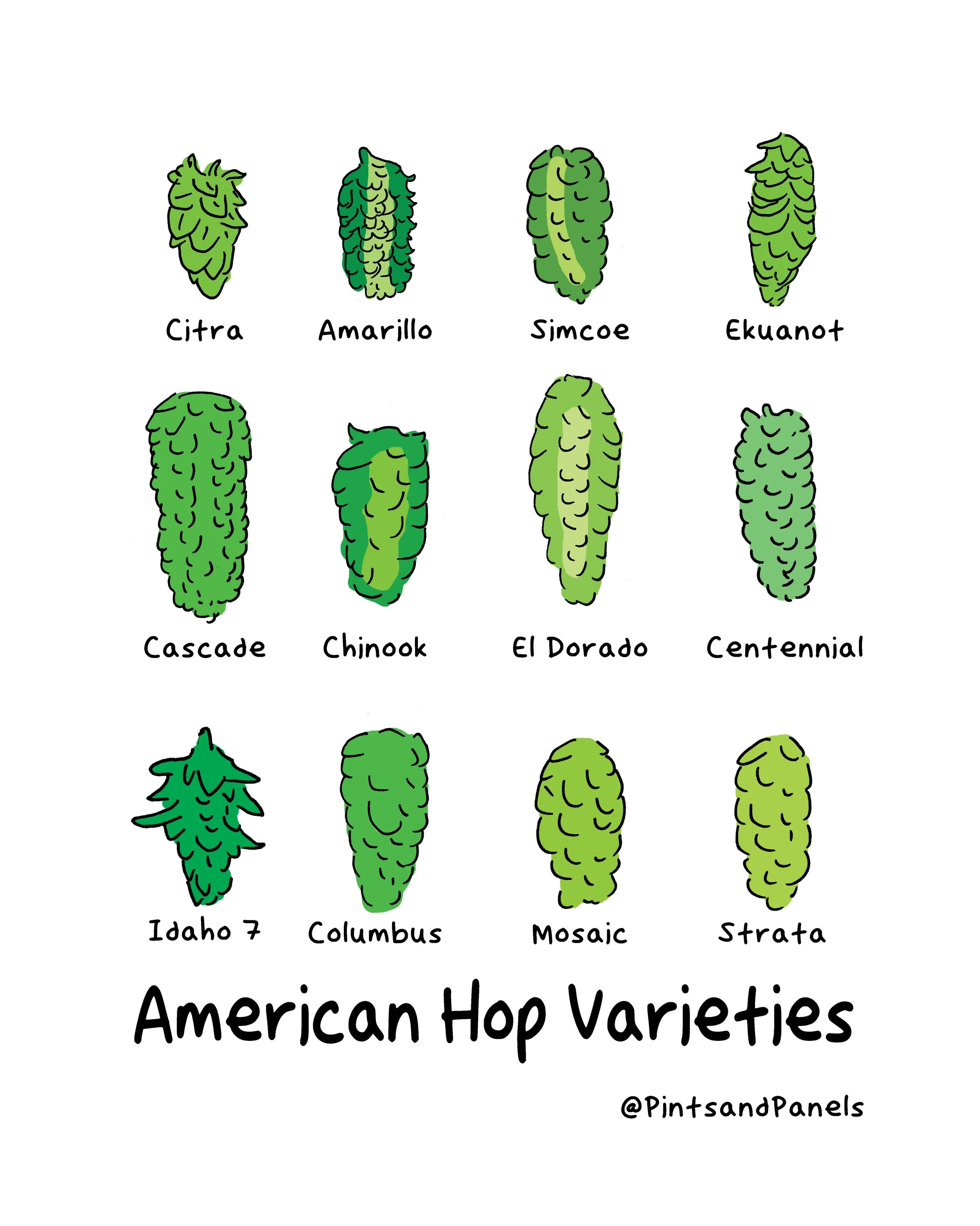 American Hops