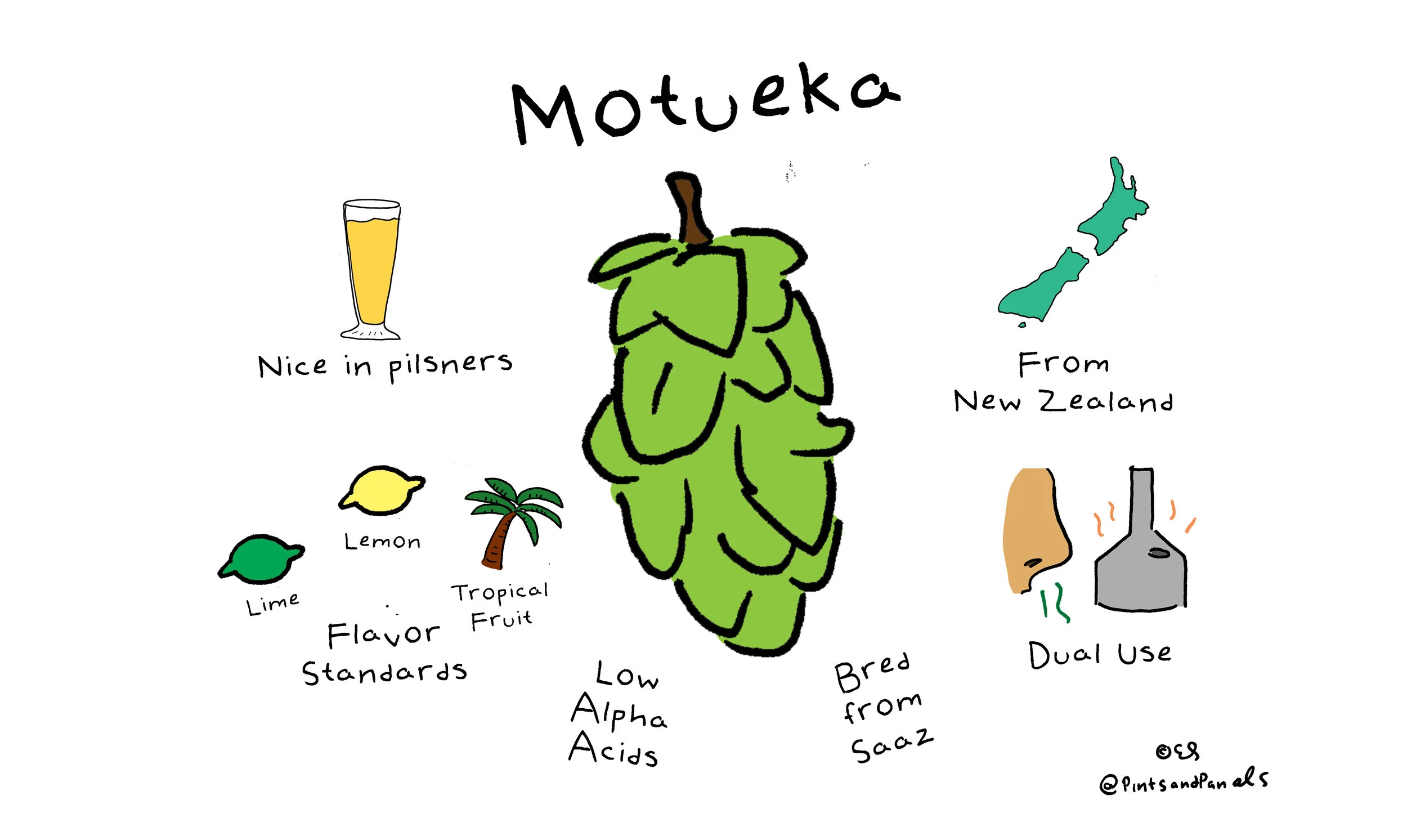 Motueka Hop Variety Simple — Pints and Panels