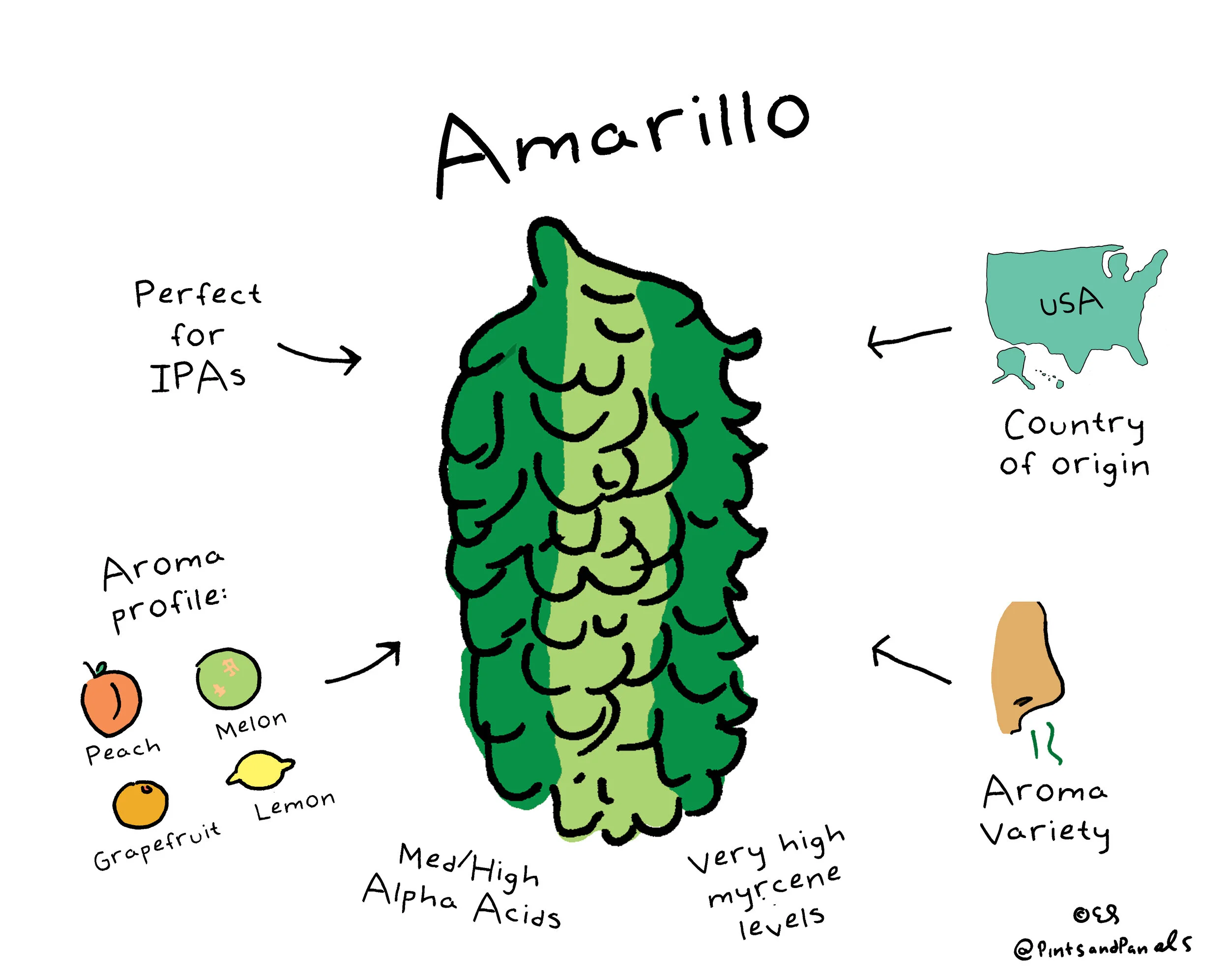 Amarillo.jpg