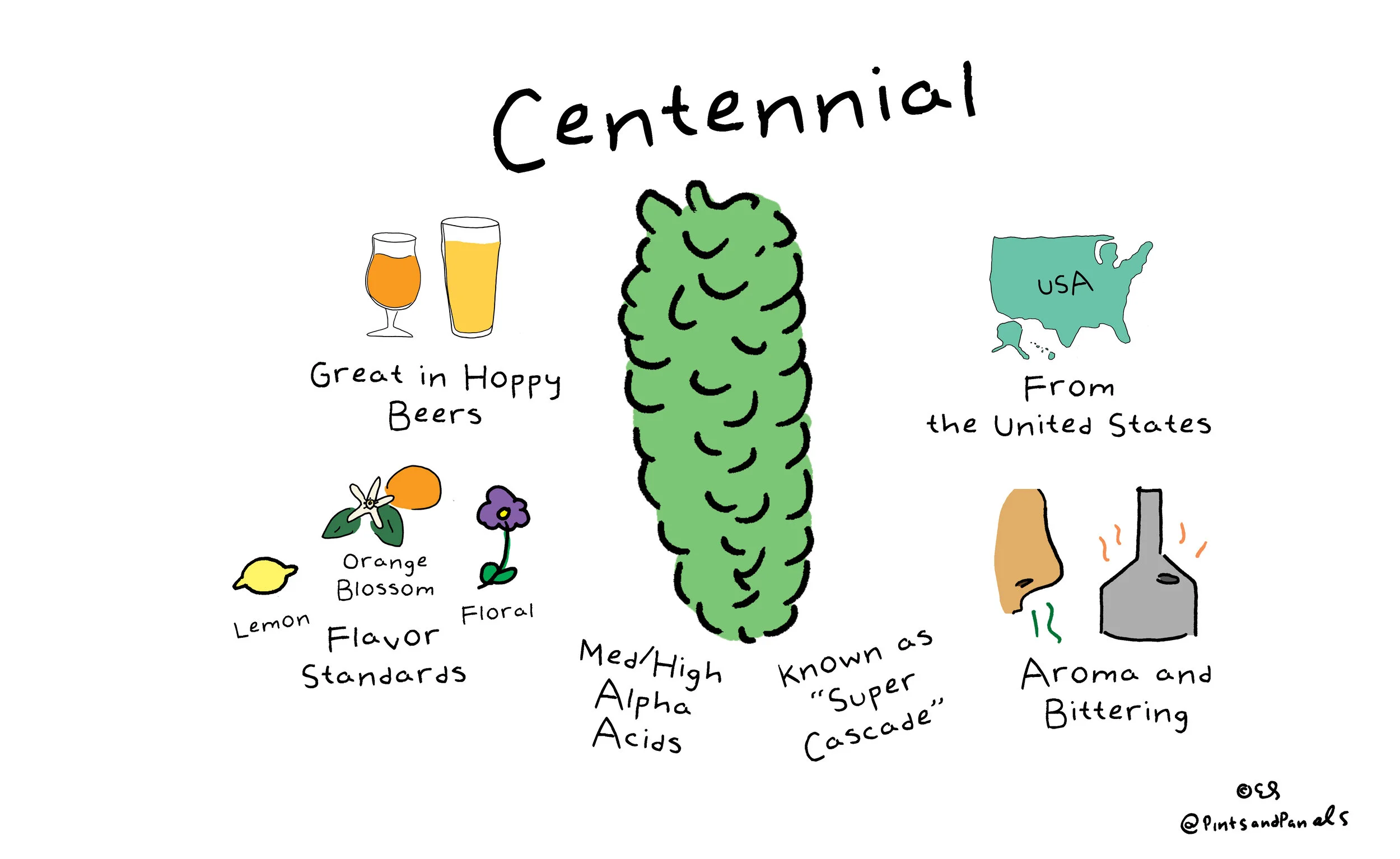 centennialpnp.jpg