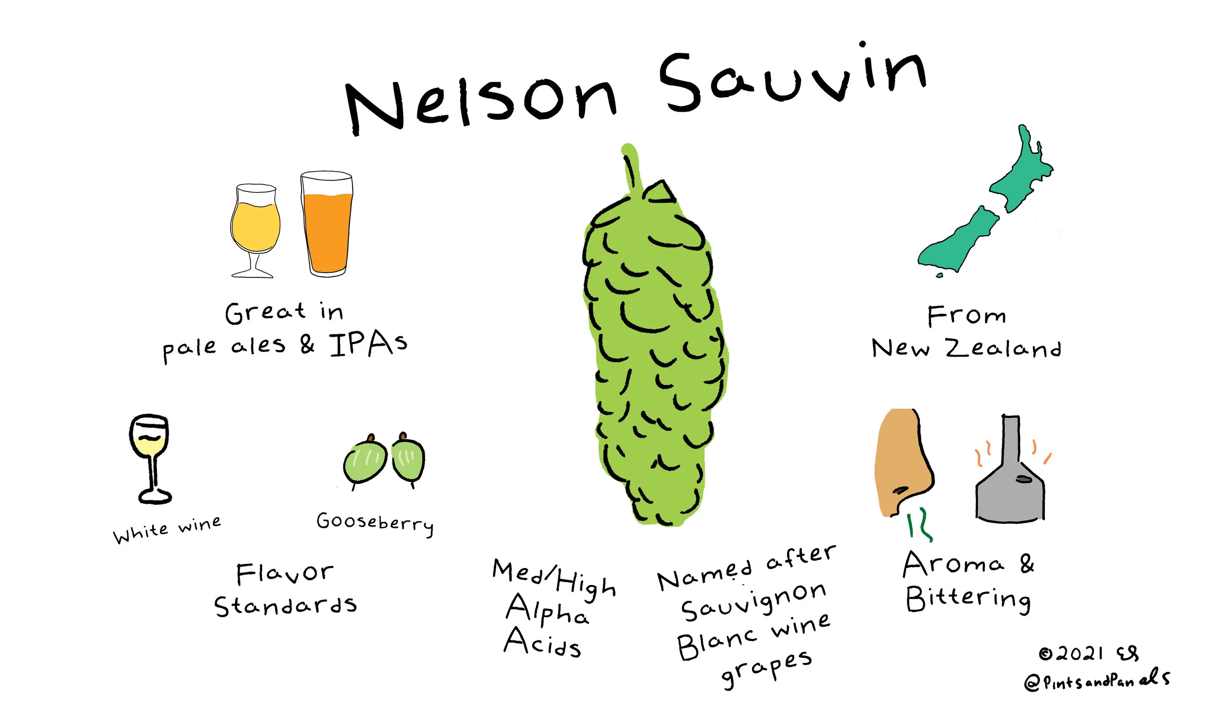 nelsonsauvin.jpg