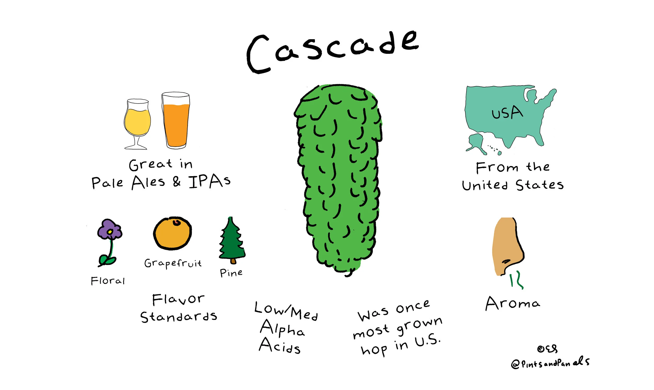 cascade.jpg