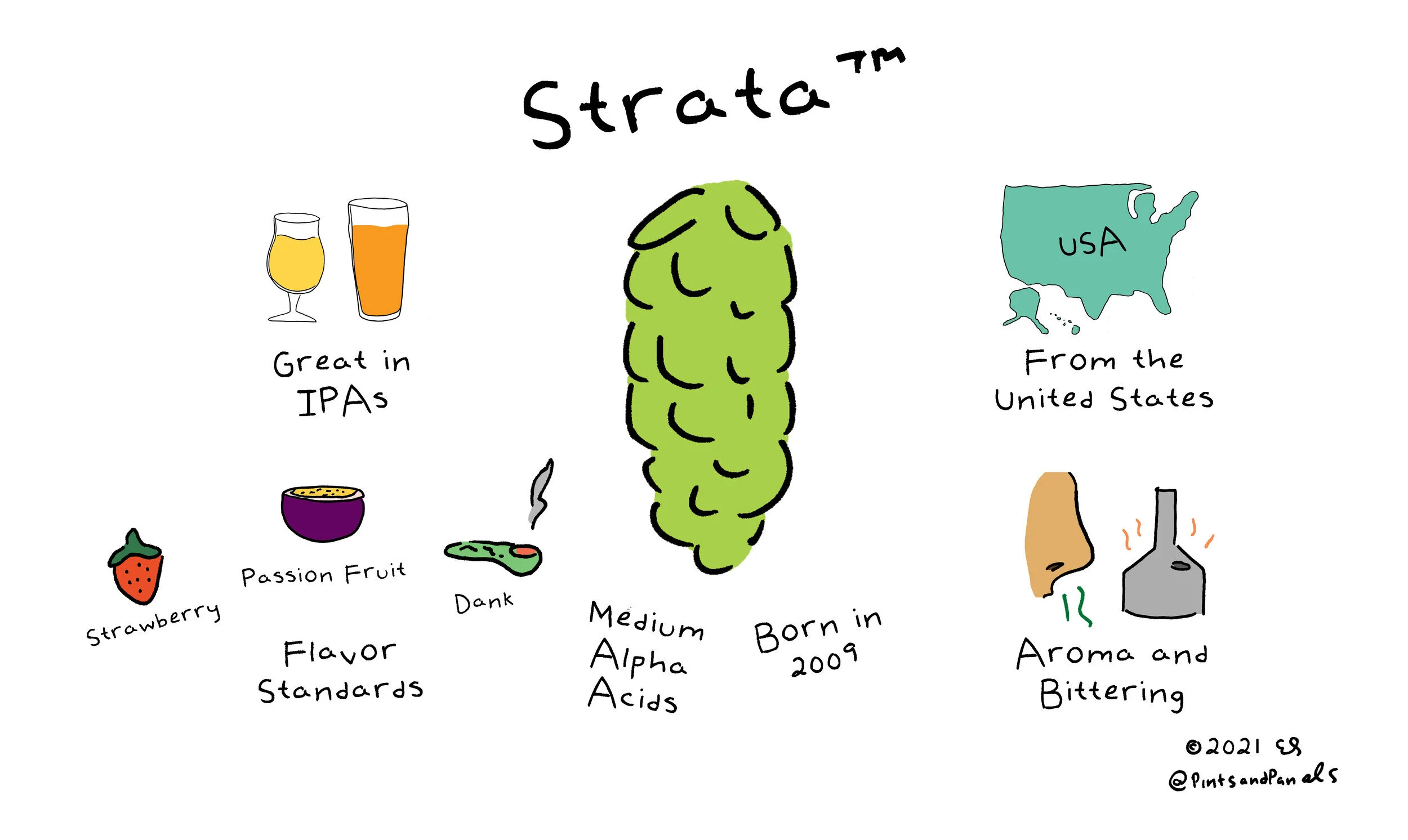 strata.jpg
