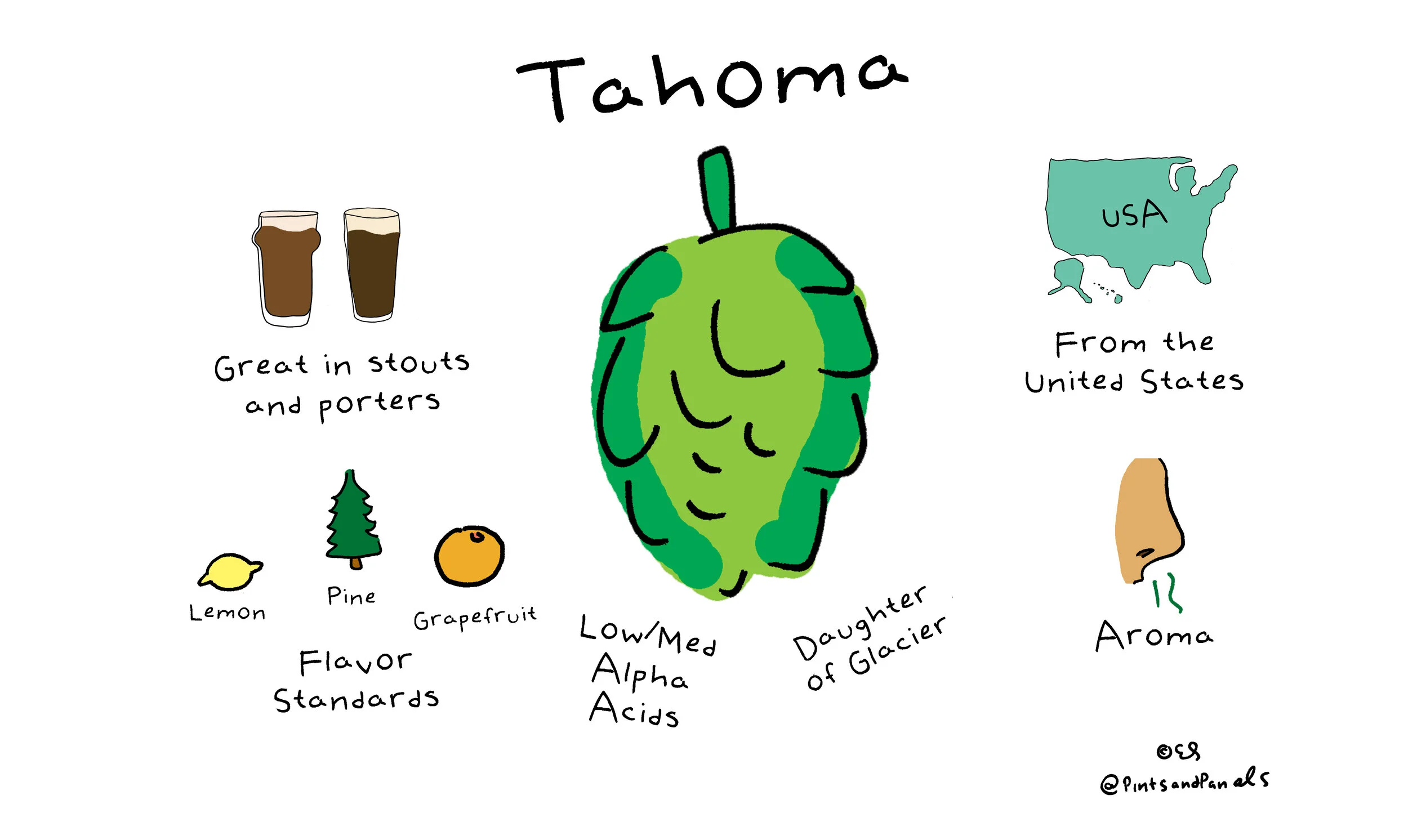 tahoma.jpg