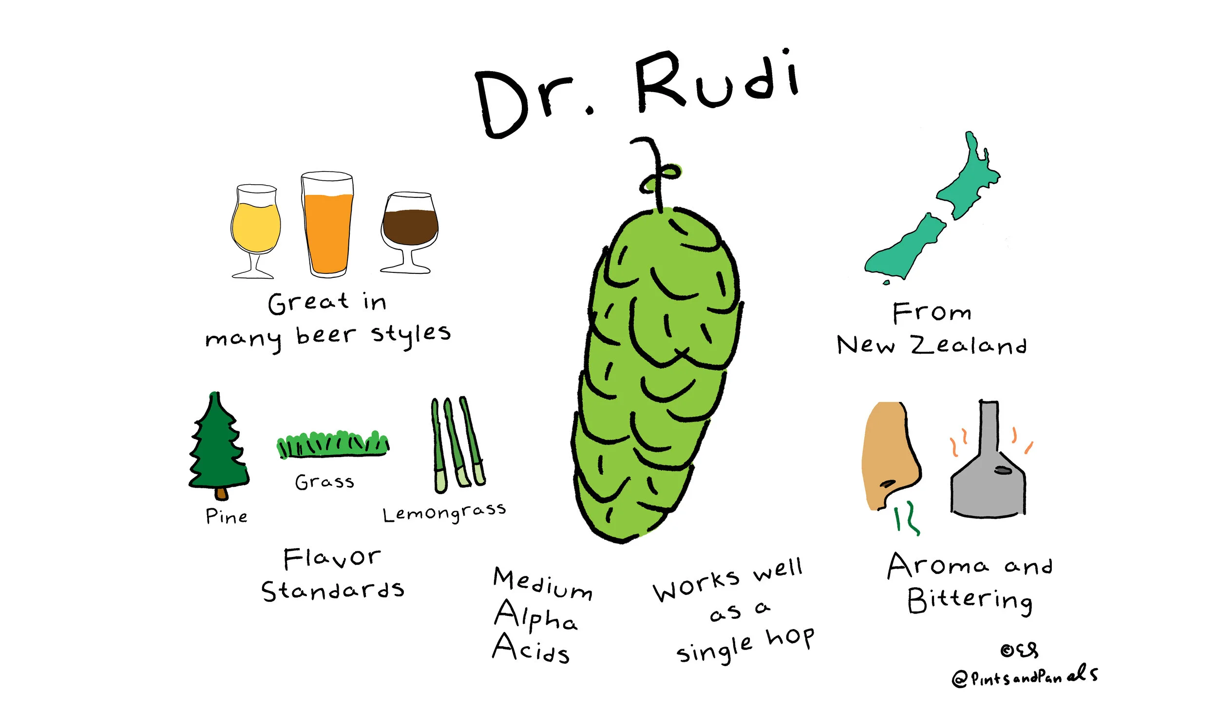 drrudi.jpg