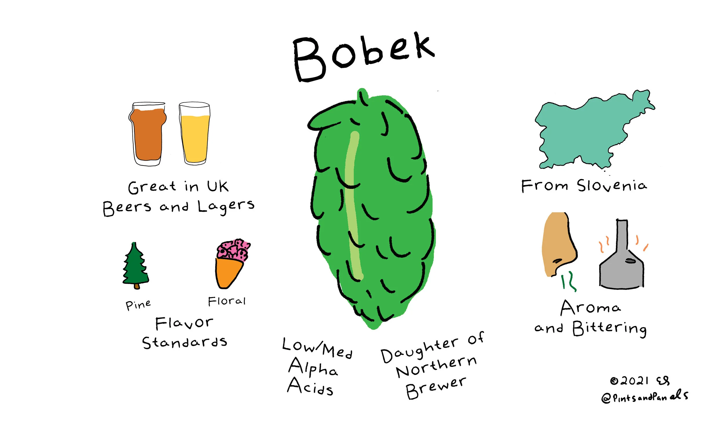 bobek.jpg