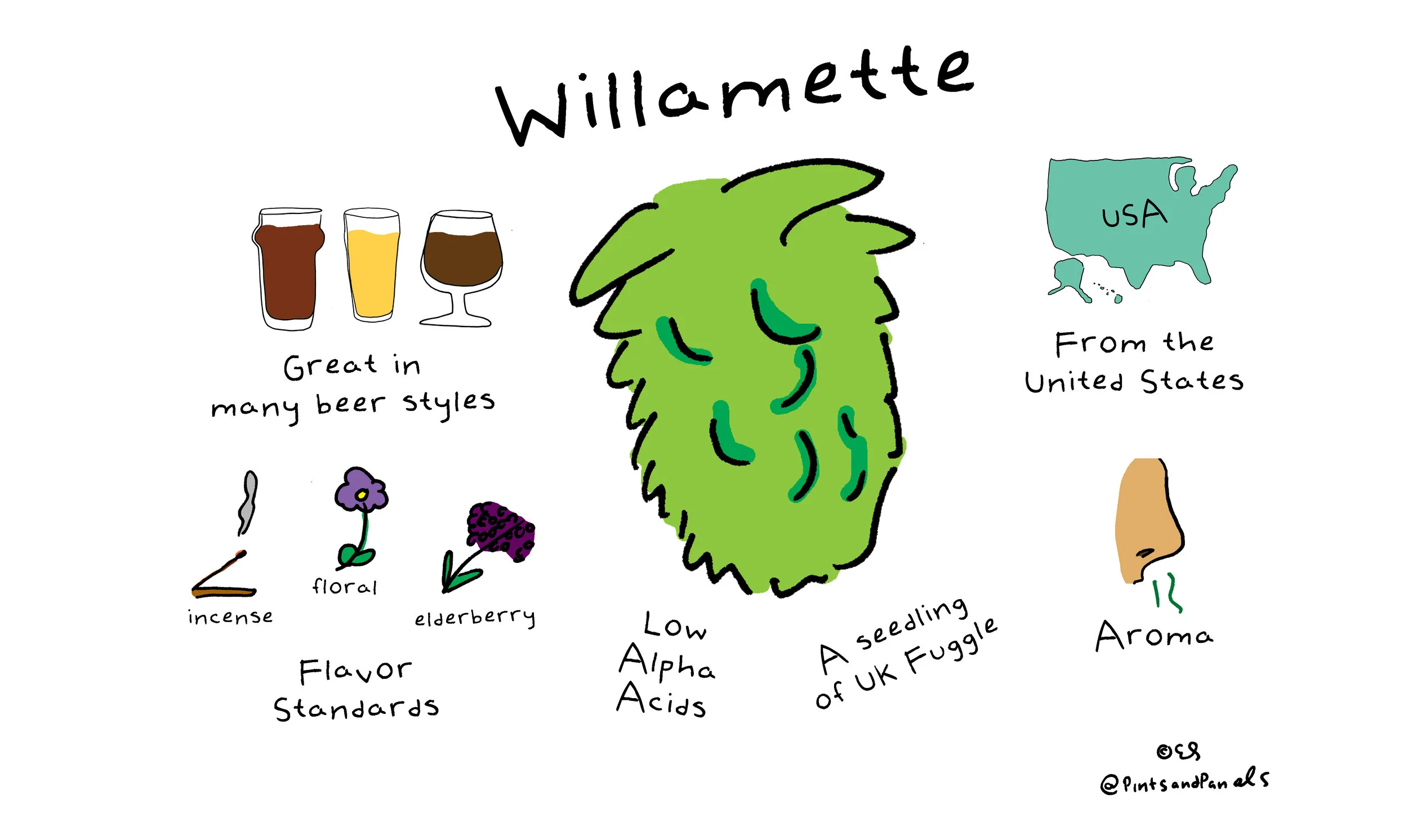 willamette.jpg