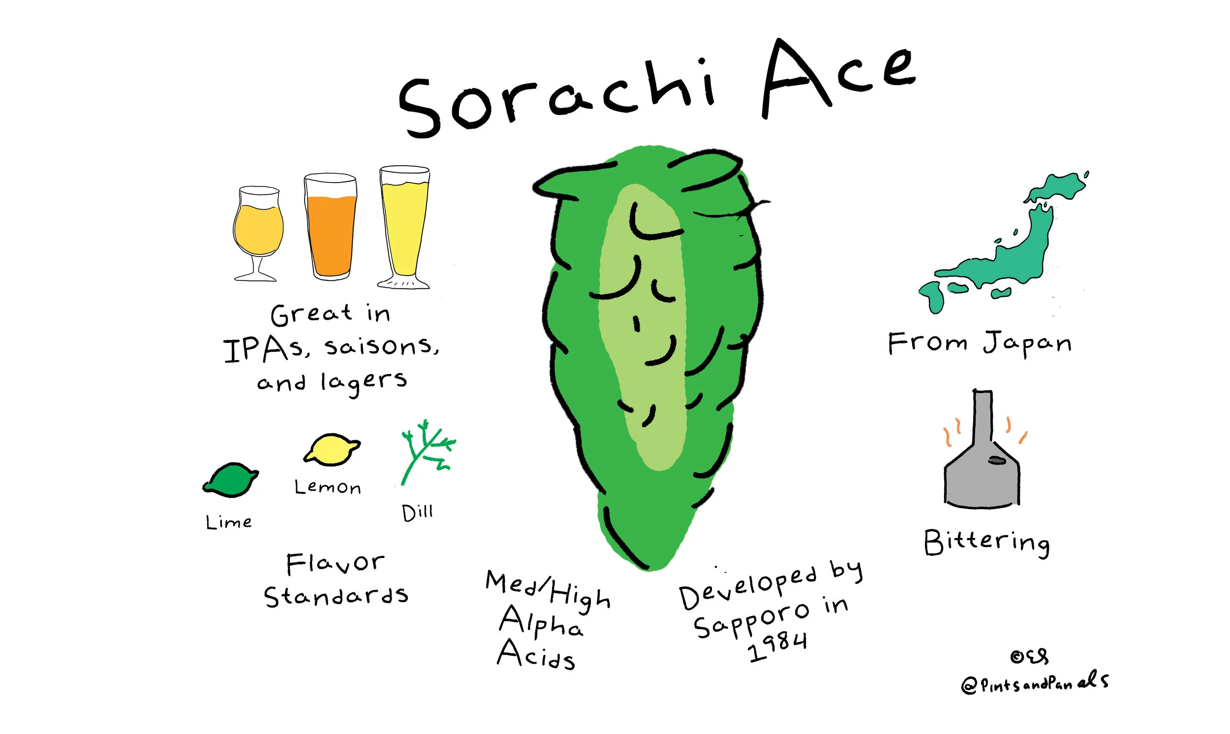 sorachiace.jpg