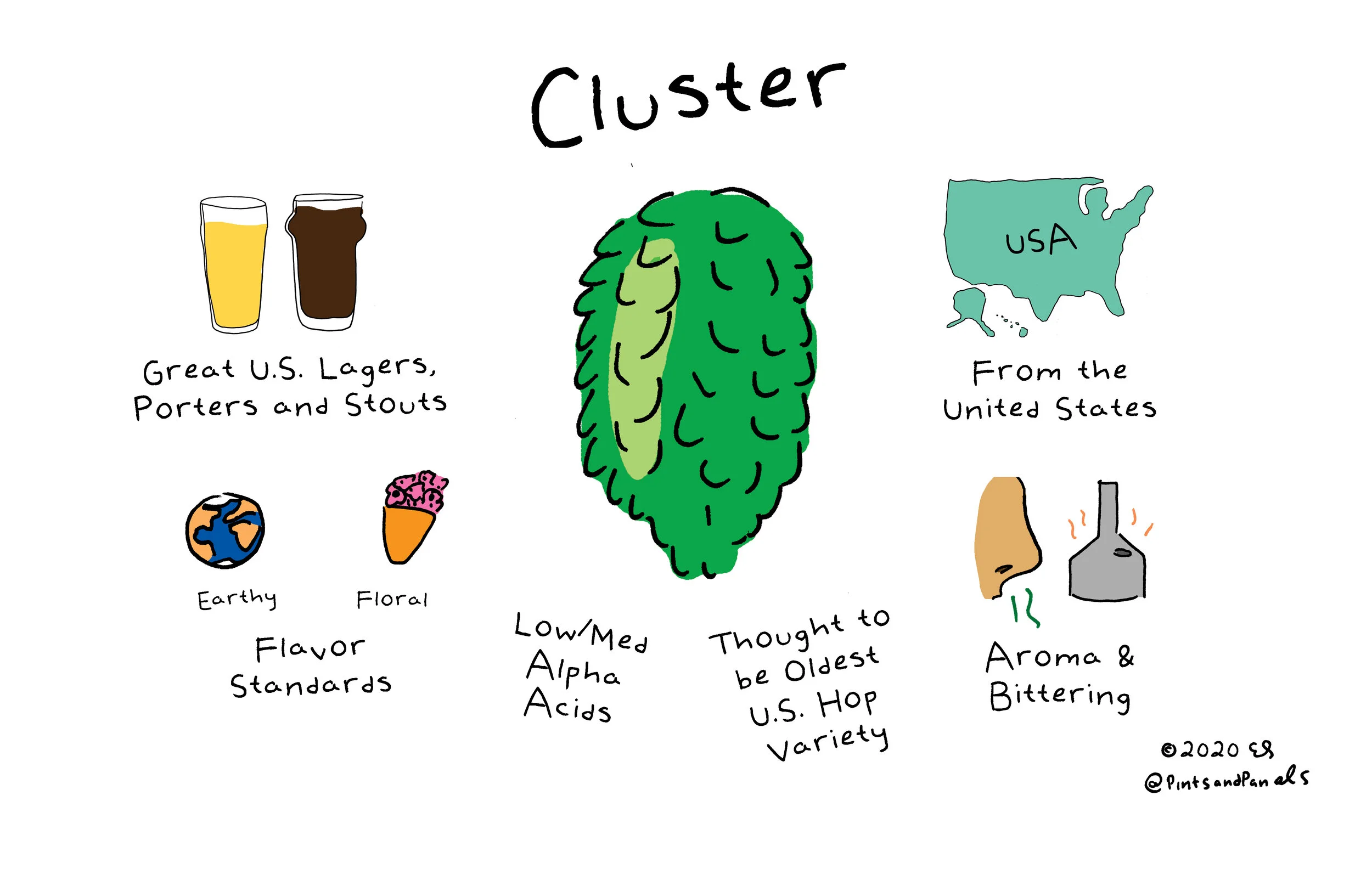 Cluster.jpg