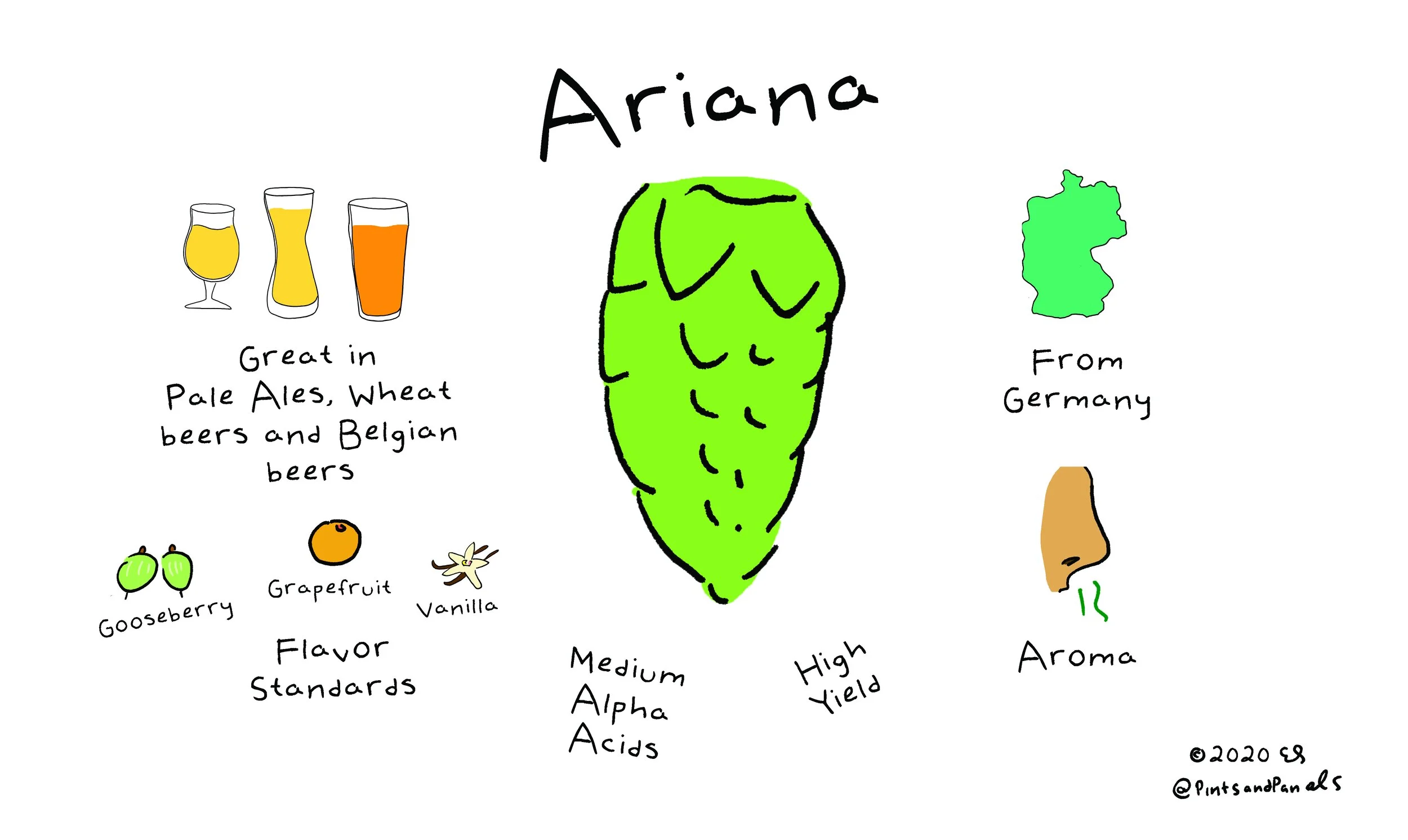 ariana.jpg