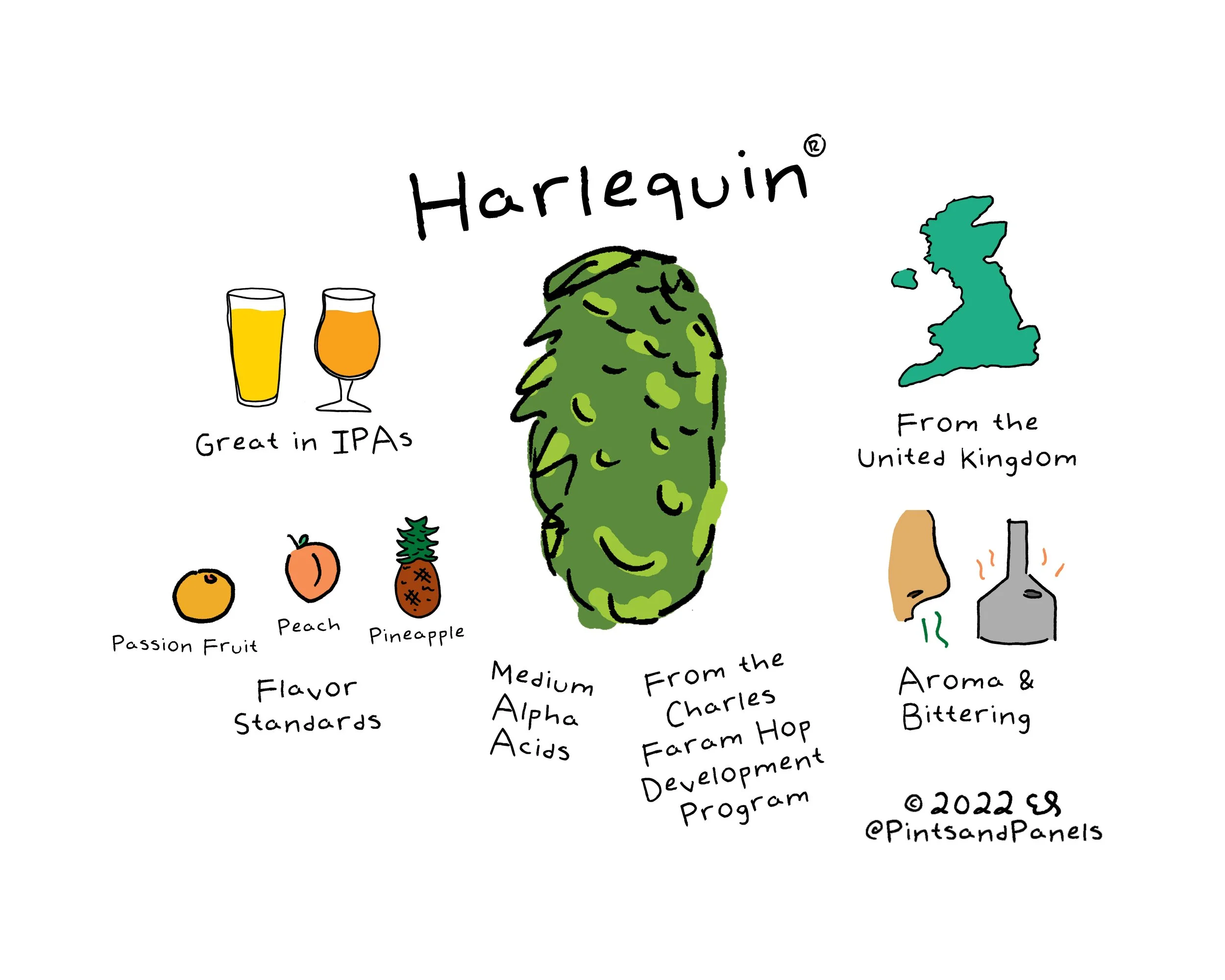 harlequin.jpg