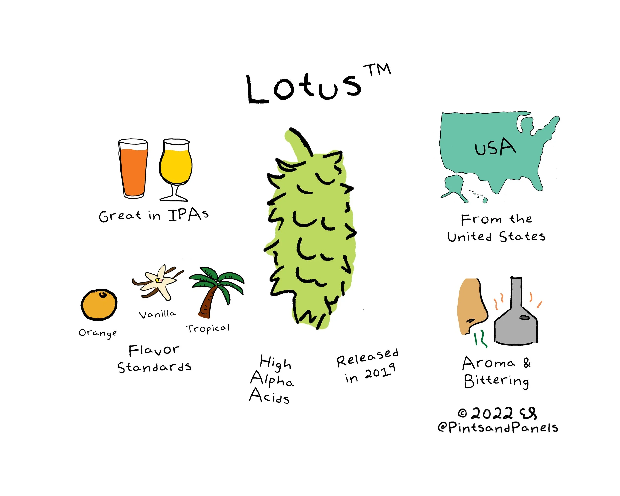 lotus.jpg