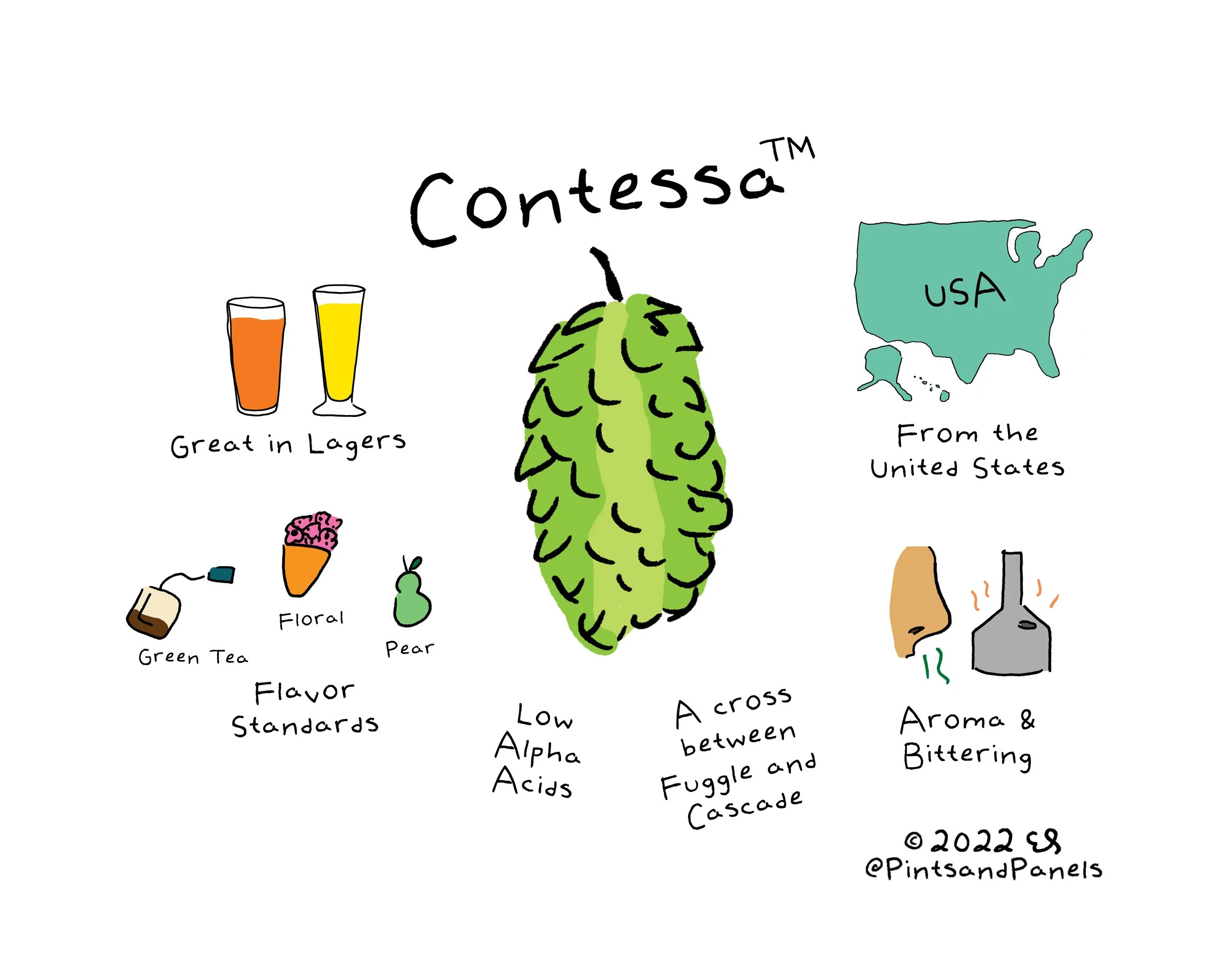 contessa.jpg