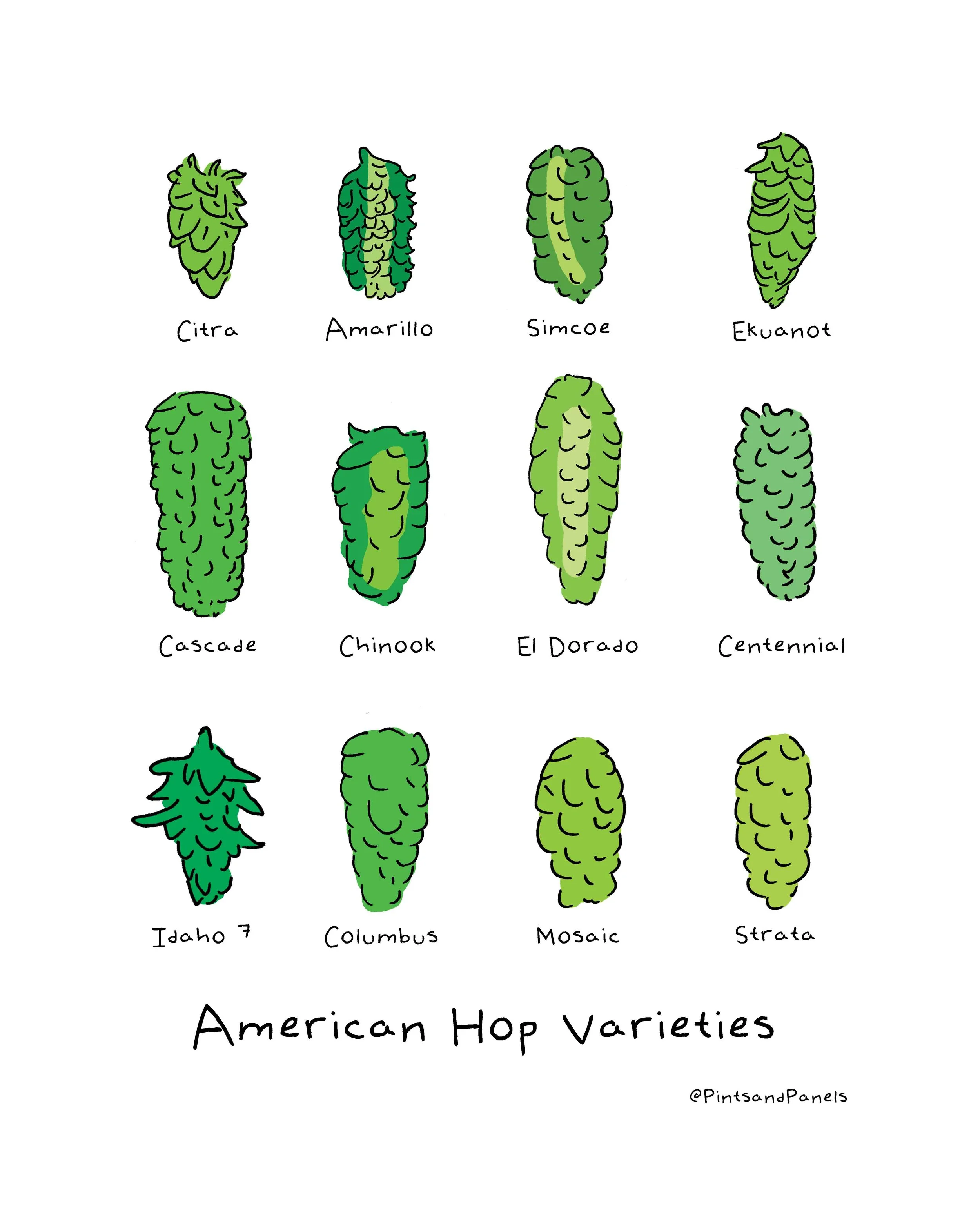 hopslabeledartprint.jpg