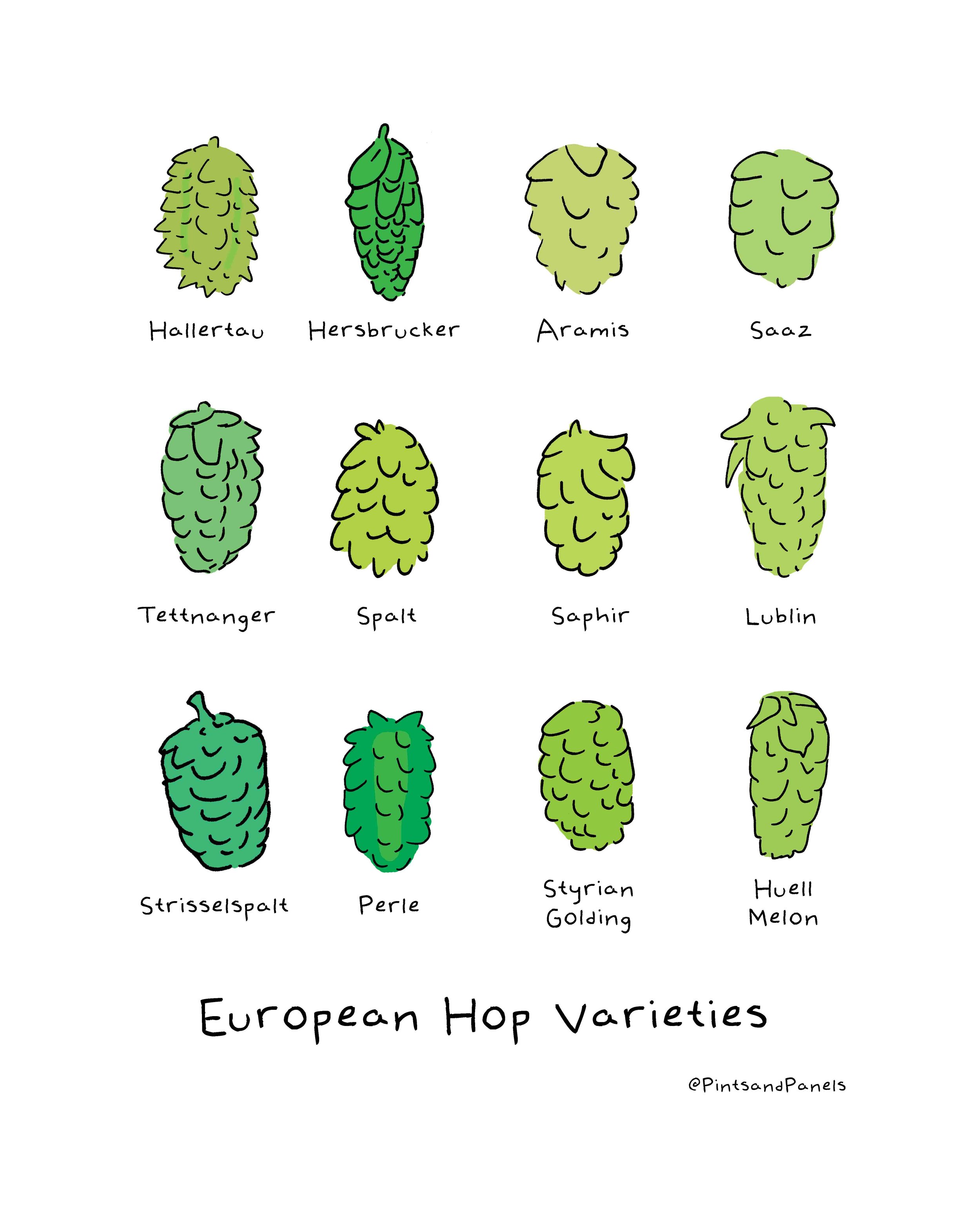 HopsEuropeforSale.jpg
