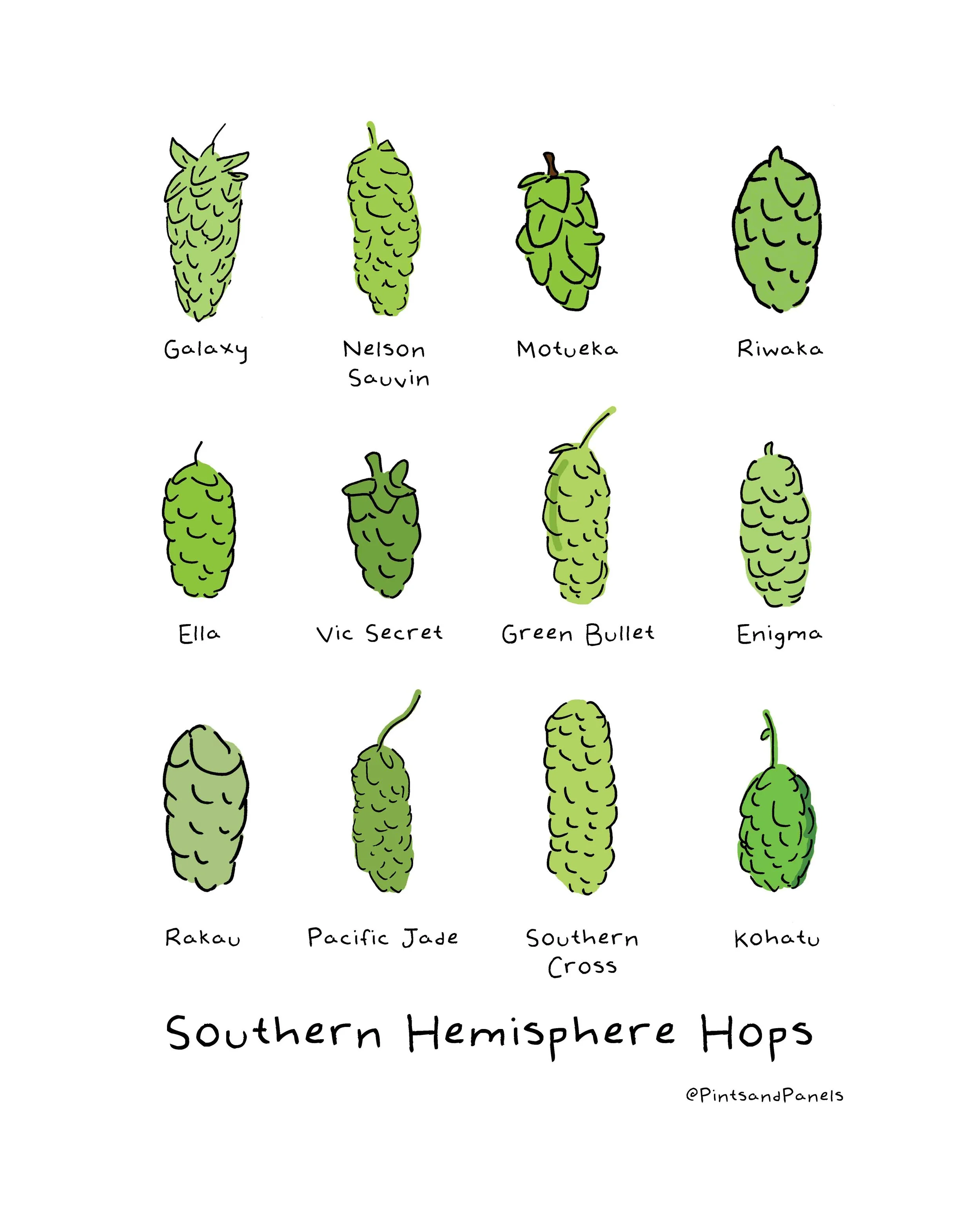 hopsSouthernHemisphereforsale.jpg