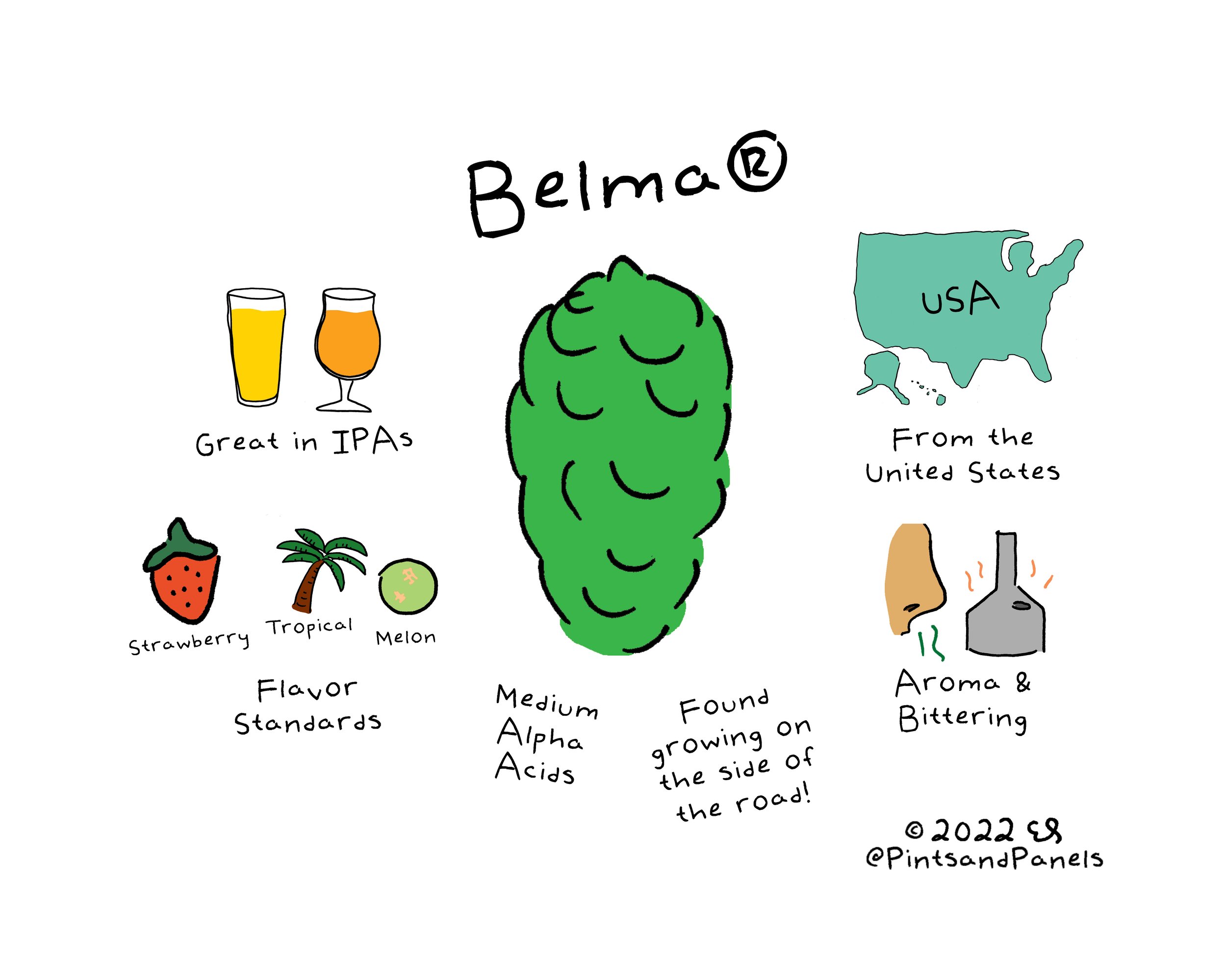 Belma.jpg