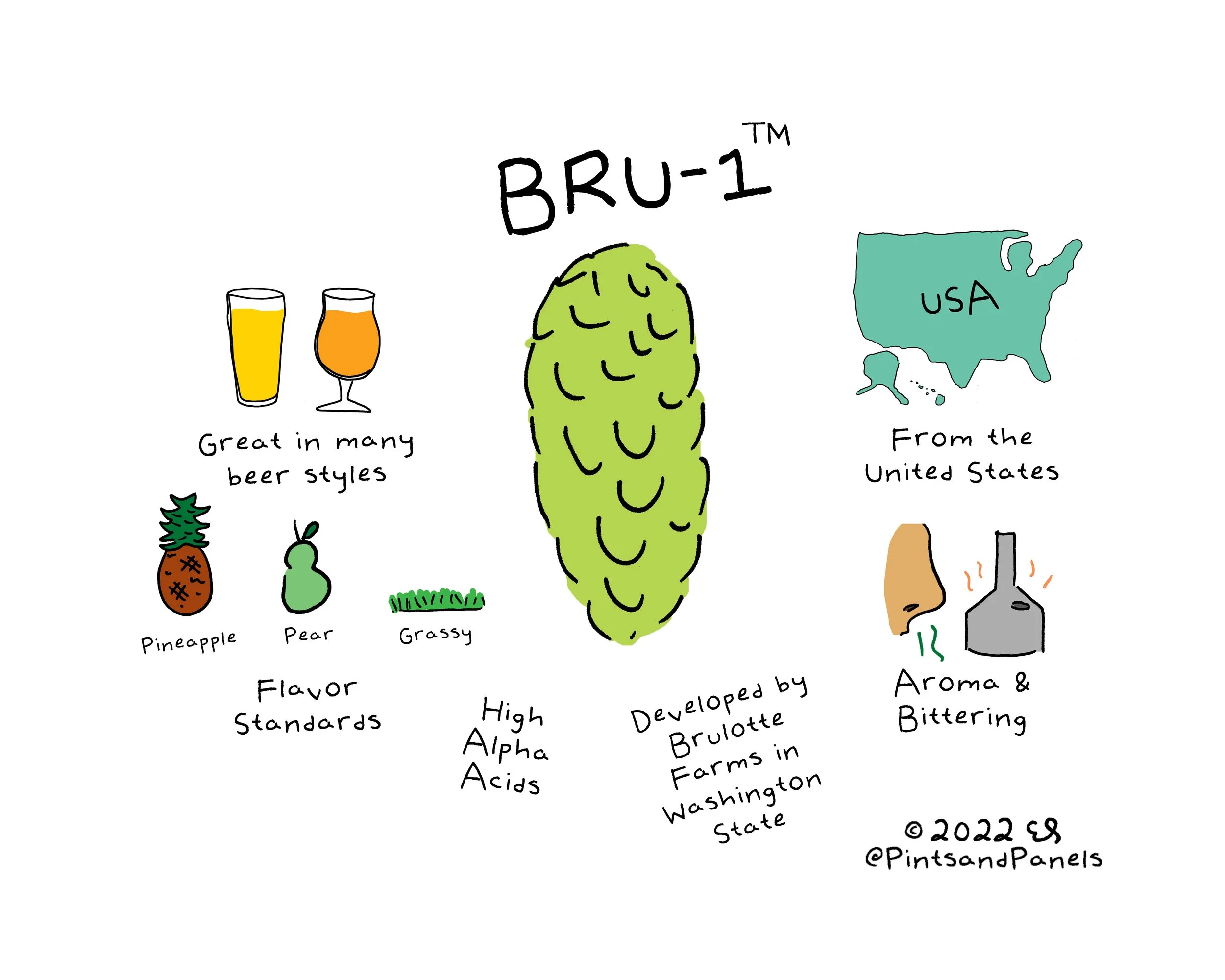 Bru1.jpg