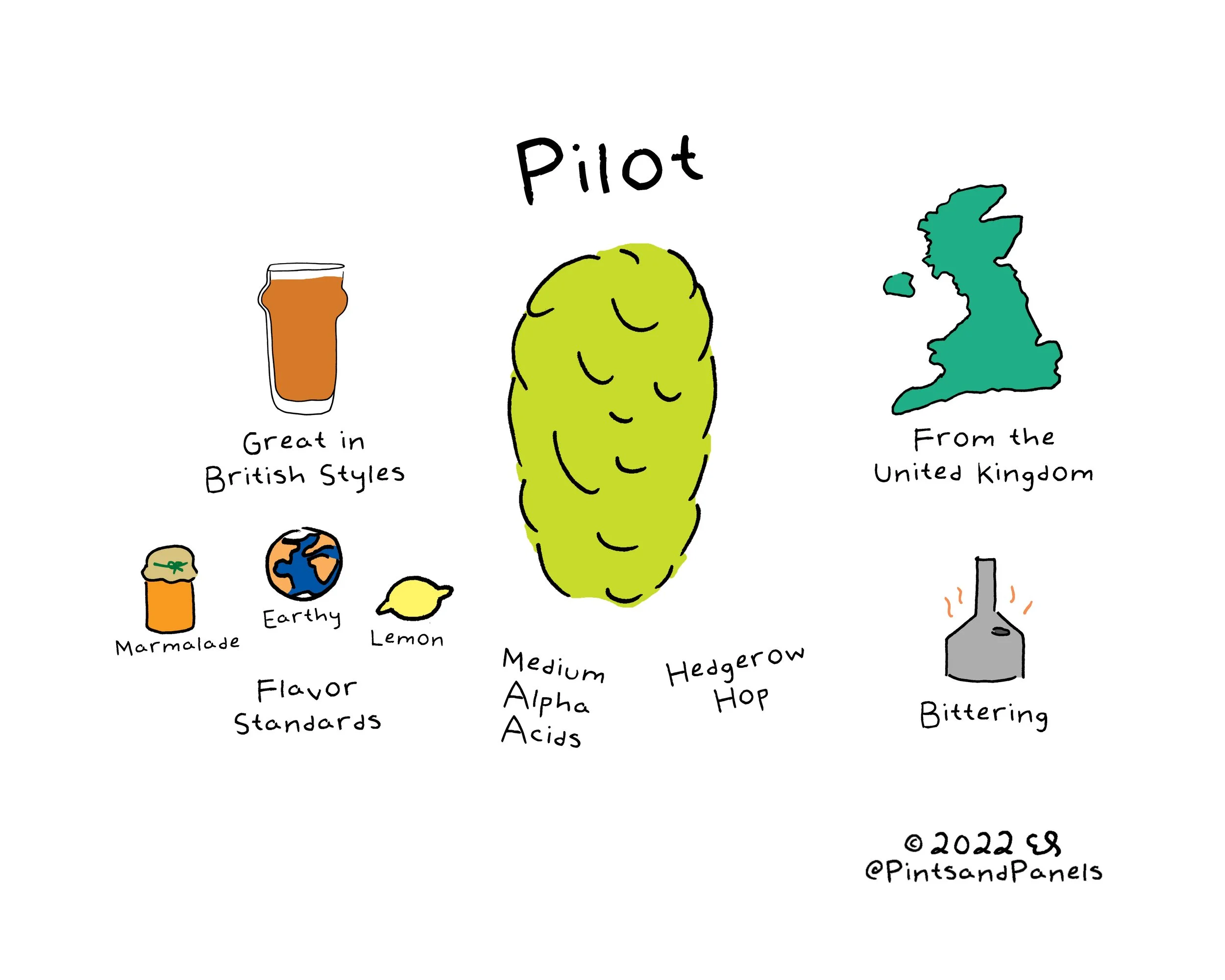 pilot.jpg