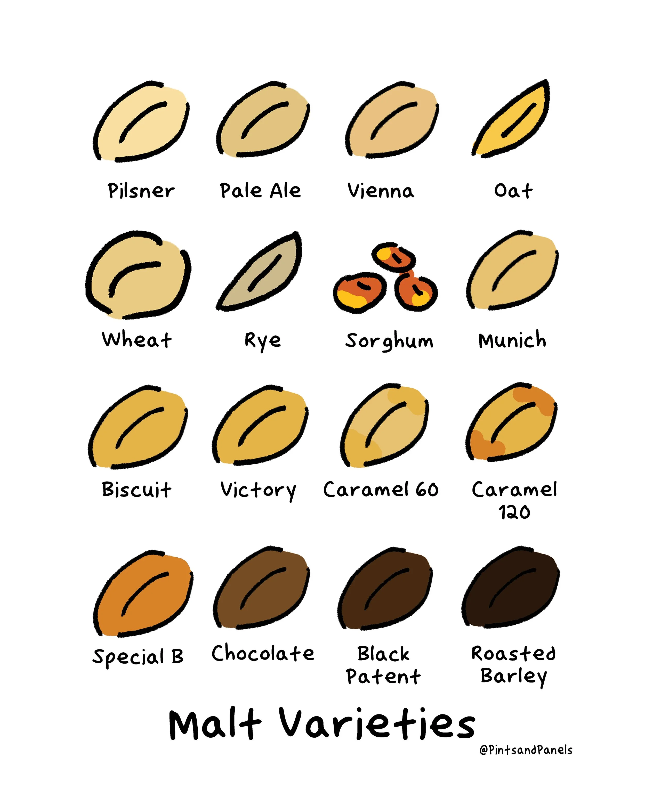 Malt Varieties — Pints and Panels