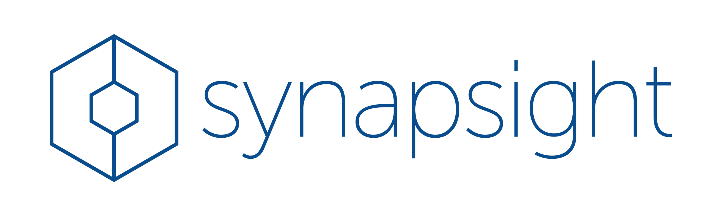synapsight-blue clear line for web.png
