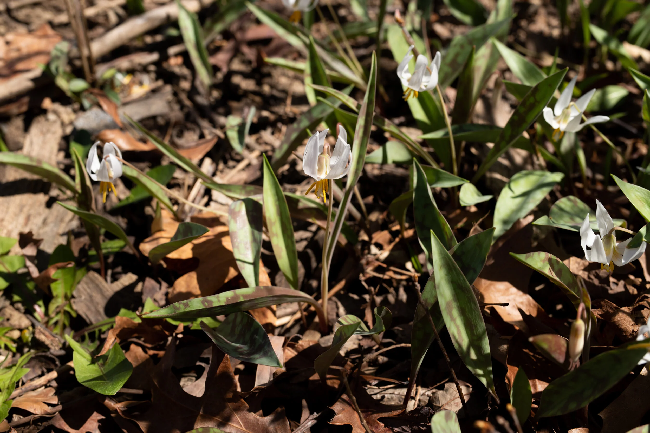 I’m going to take this as a sign I’m on the right path.