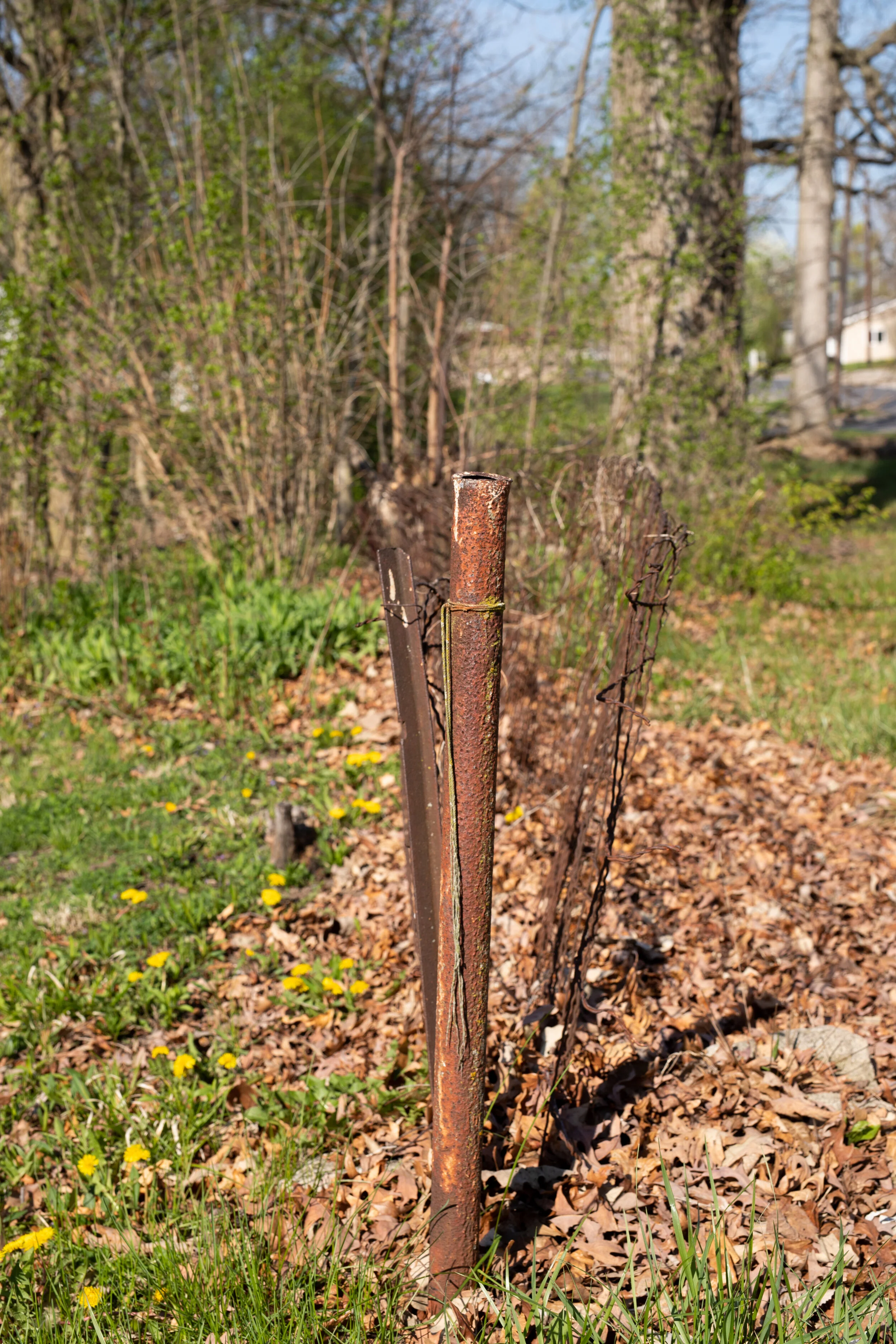 Should I use this and save myself $350? I’d love to buy the lot next door and use the survey money for that instead. So I’d know both where my initial lot ends and the full scope of the lot that butts up next to a house.