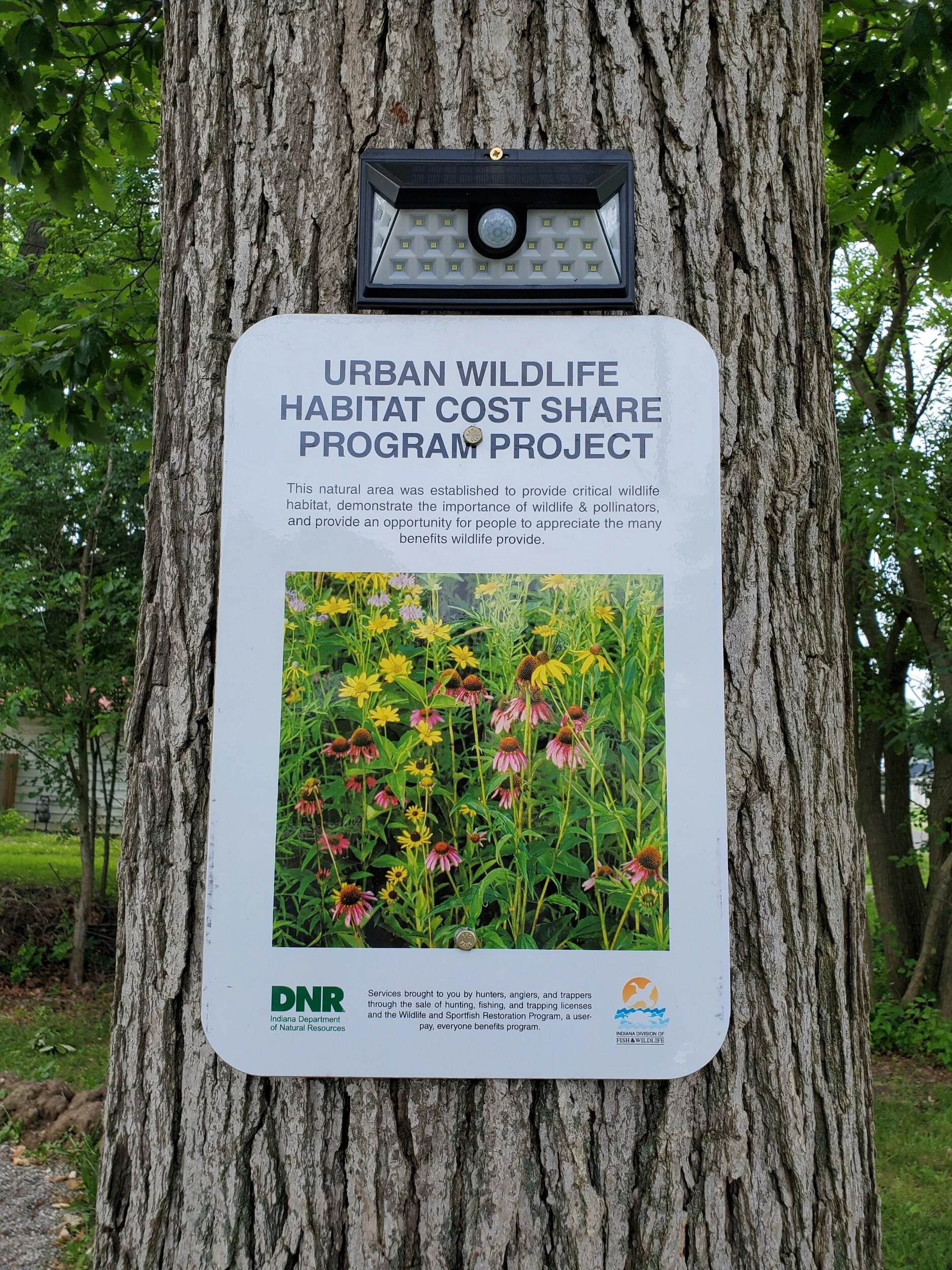 Half the battle of planting a native prairie is getting people on board with how “untidy” they can look. So hopefully all of the maintenance, education, outreach and signage will help with that. Fingers crossed!