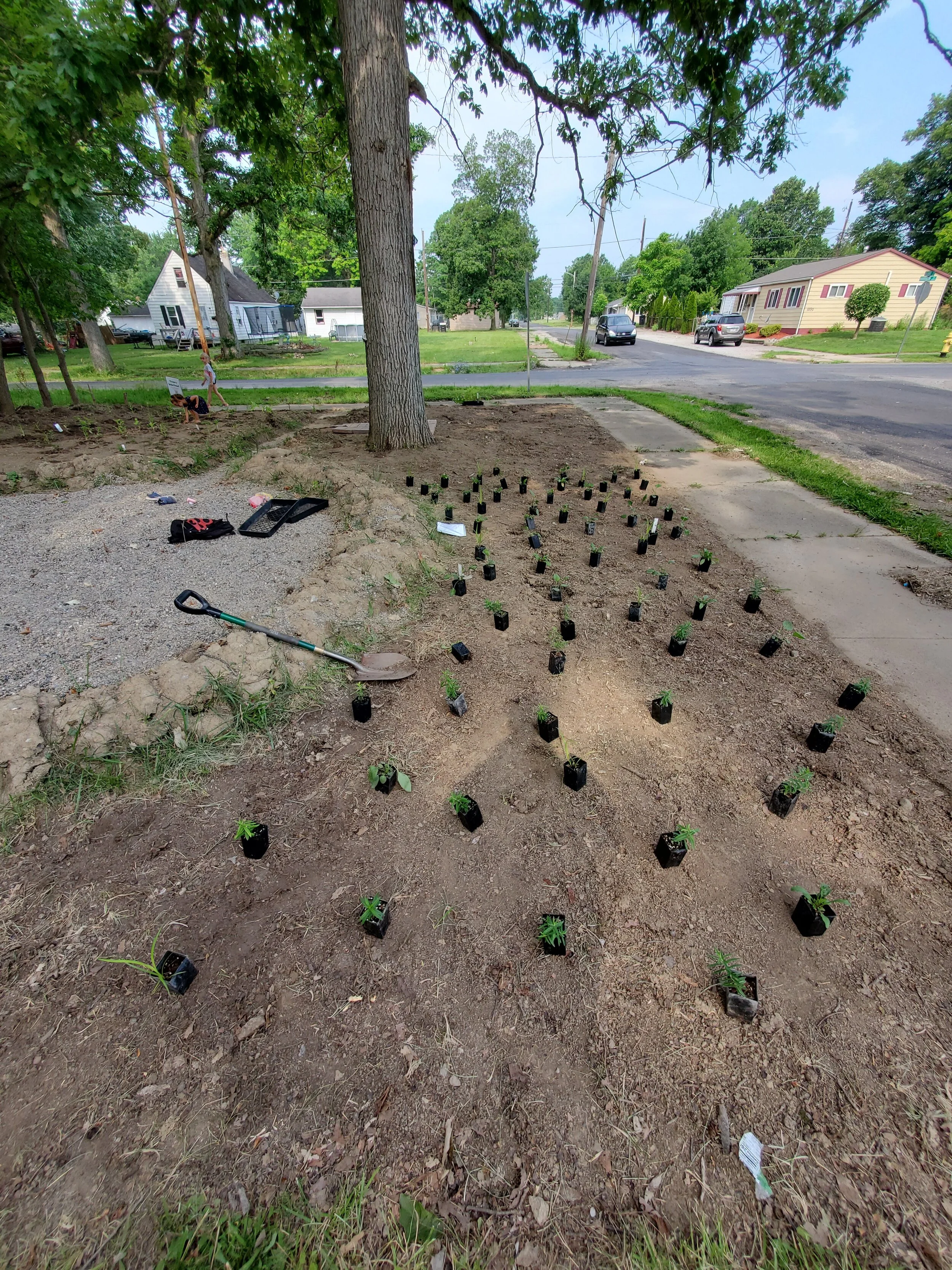 My next door neighbor found out about my dull shovel and let me borrow hers until I can get myself a new one. How sweet is she? This is the “extra” unplanned section that I ended up planting. So everything here was initially supposed to go toward th…