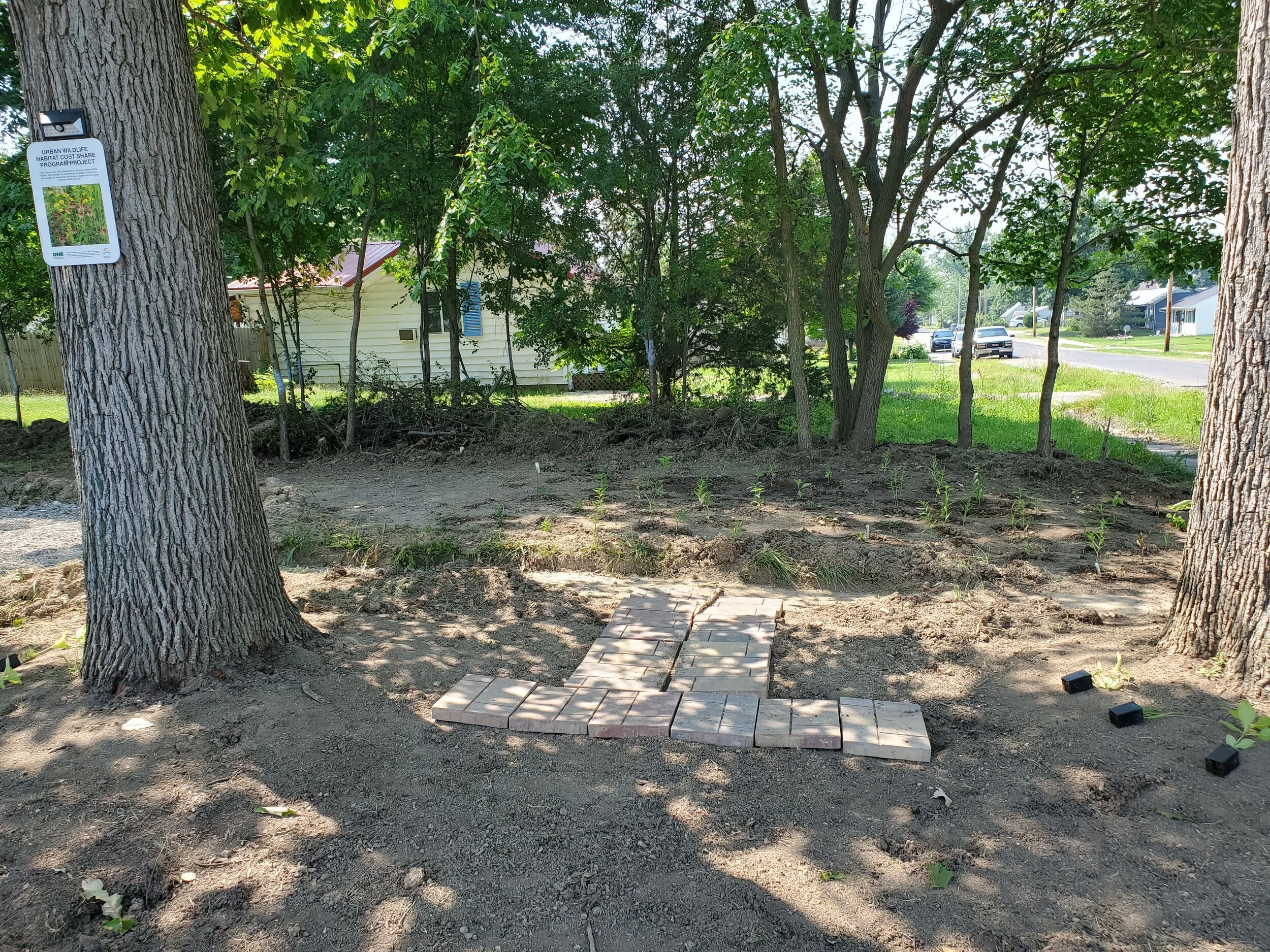 This is just a rough fit of the blocks that will become our tree swing platform. I’ll be leveling this area, installing weed barrier, and installing the stones. I bought this hammock swing from Amazon to hang up. Initially I bought two hammock straps to use around each tree, but after doing more research I found that I could unintentionally girdle my trees which I absolutely do not want to do. So the plan now is to get two very large and heavy duty eye hooks. A hook will be installed into each tree, a strap from each tree will then support the swing. Here’s to hoping that works!It honestly good that this area didn’t get planted yet, because I for sure would have accidentally trampled something.