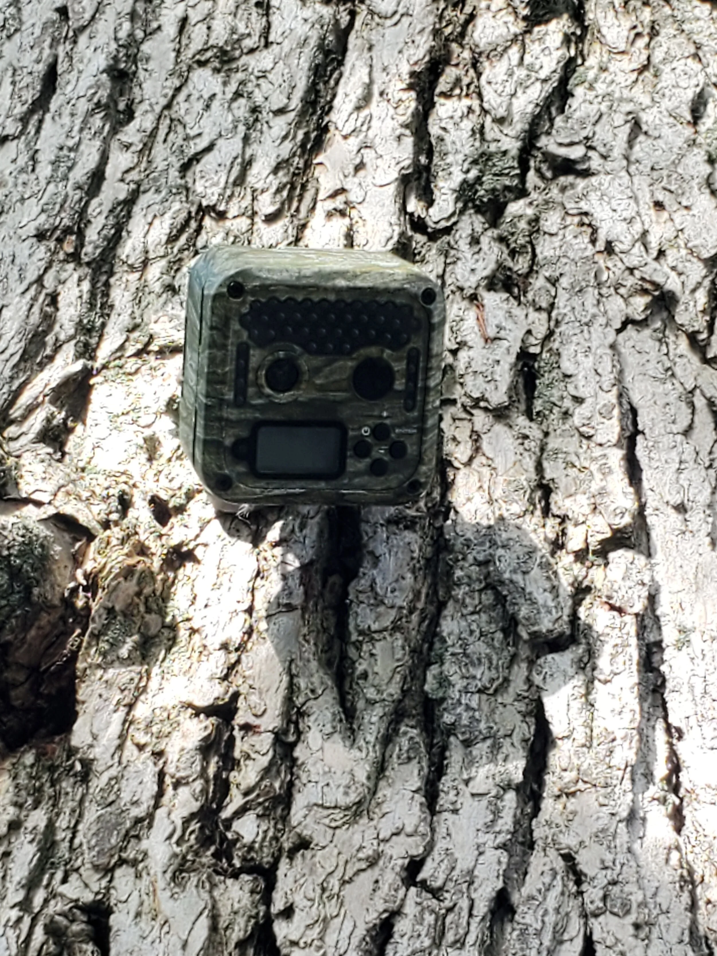 Game Camera