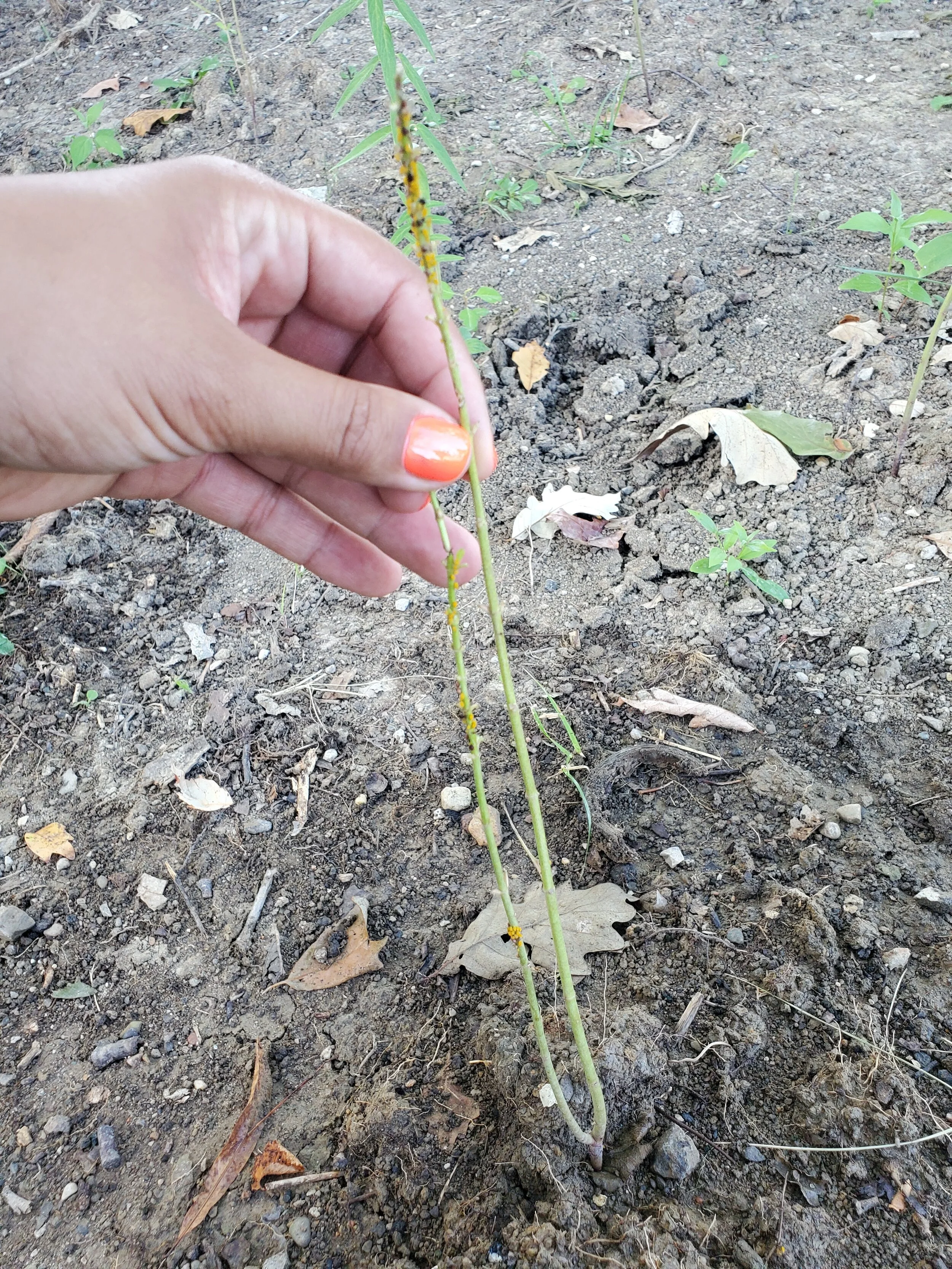 Still Supporting Wildlife